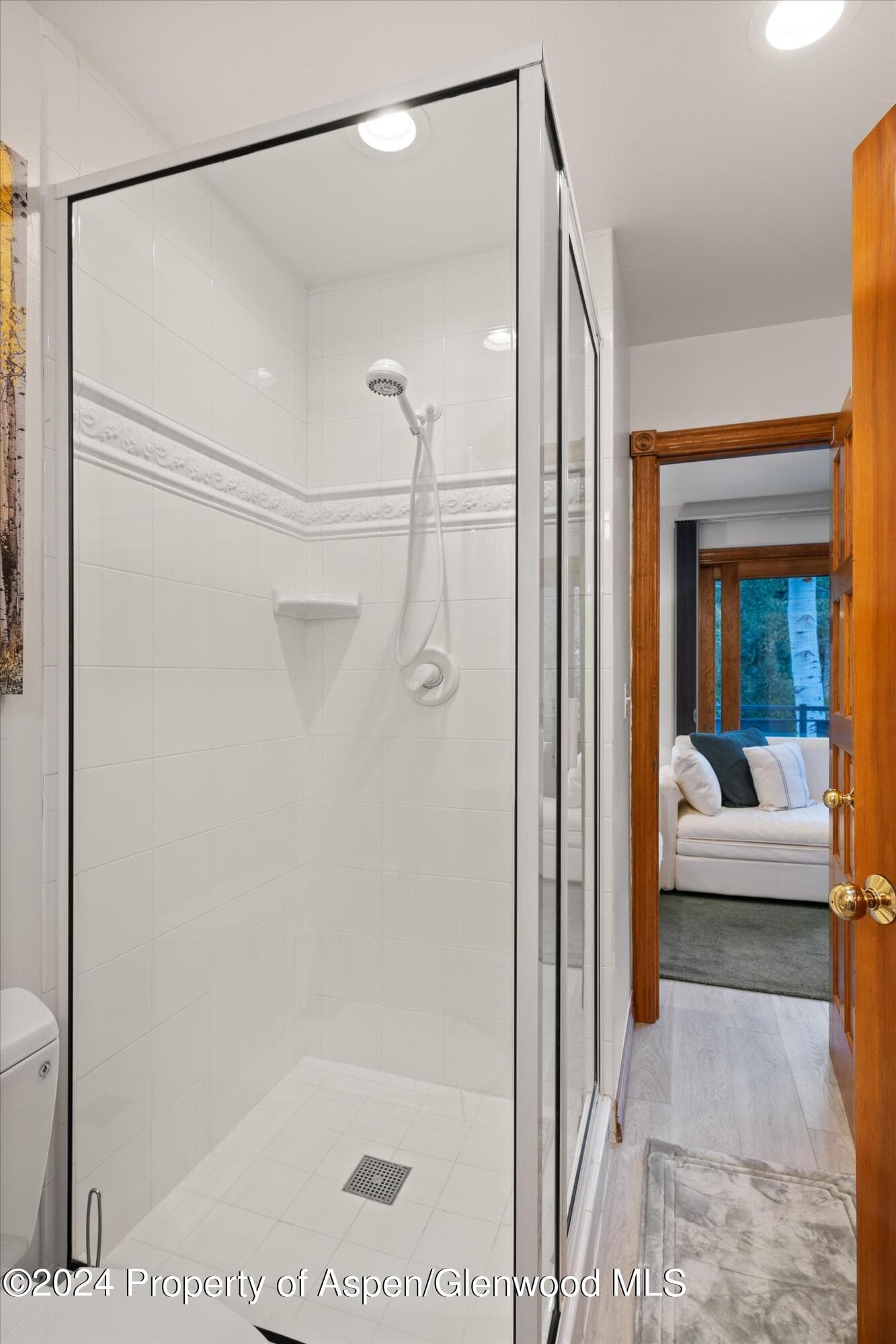 124 E Durant Avenue Unit 10, Aspen, CO 81611 - Photo 14