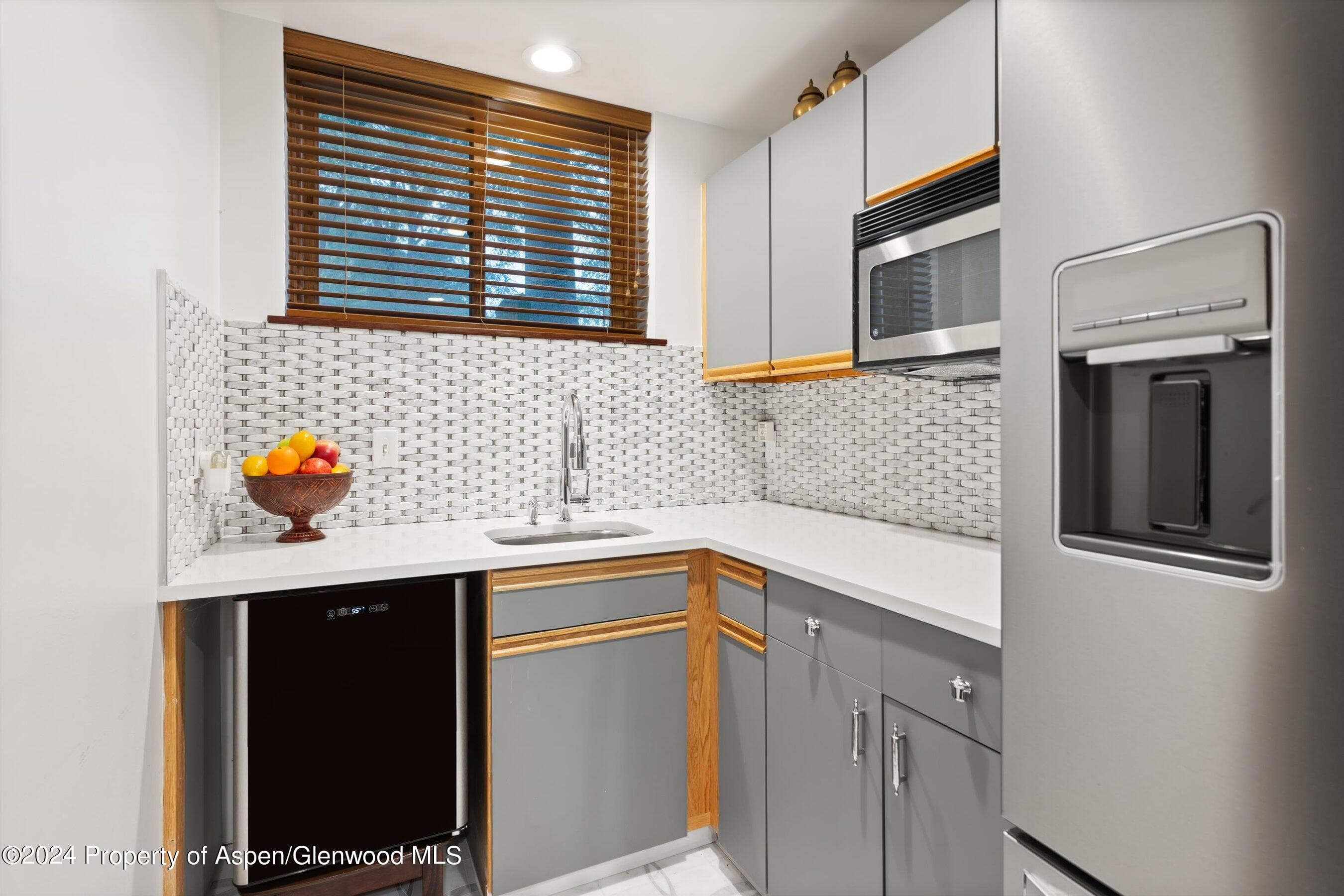 124 E Durant Avenue Unit 10, Aspen, CO 81611 - Photo 16