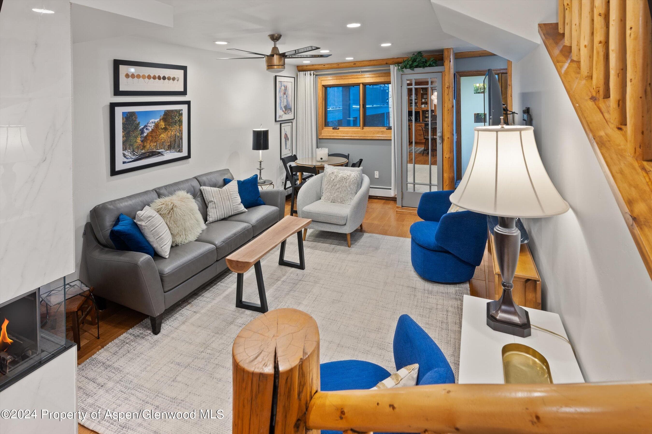 124 E Durant Avenue Unit 10, Aspen, CO 81611 - Photo 6