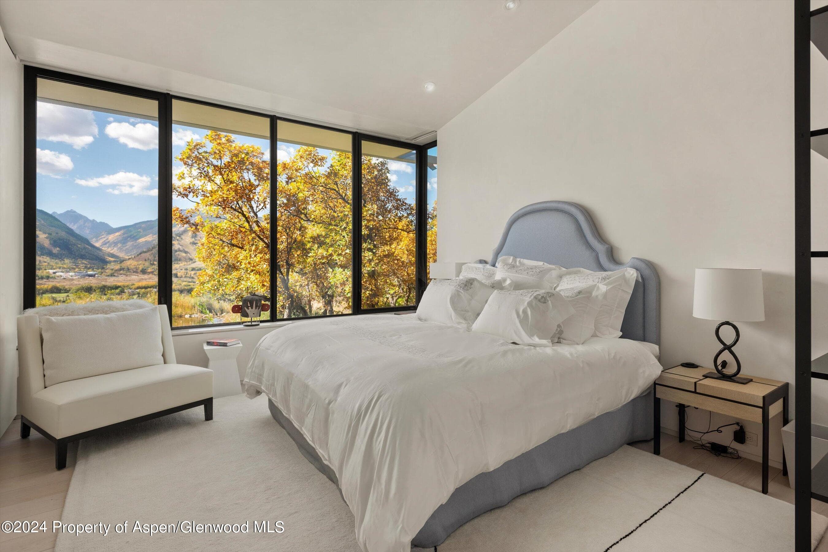 600 Nell Erickson Road, Aspen, CO 81611 - Photo 19