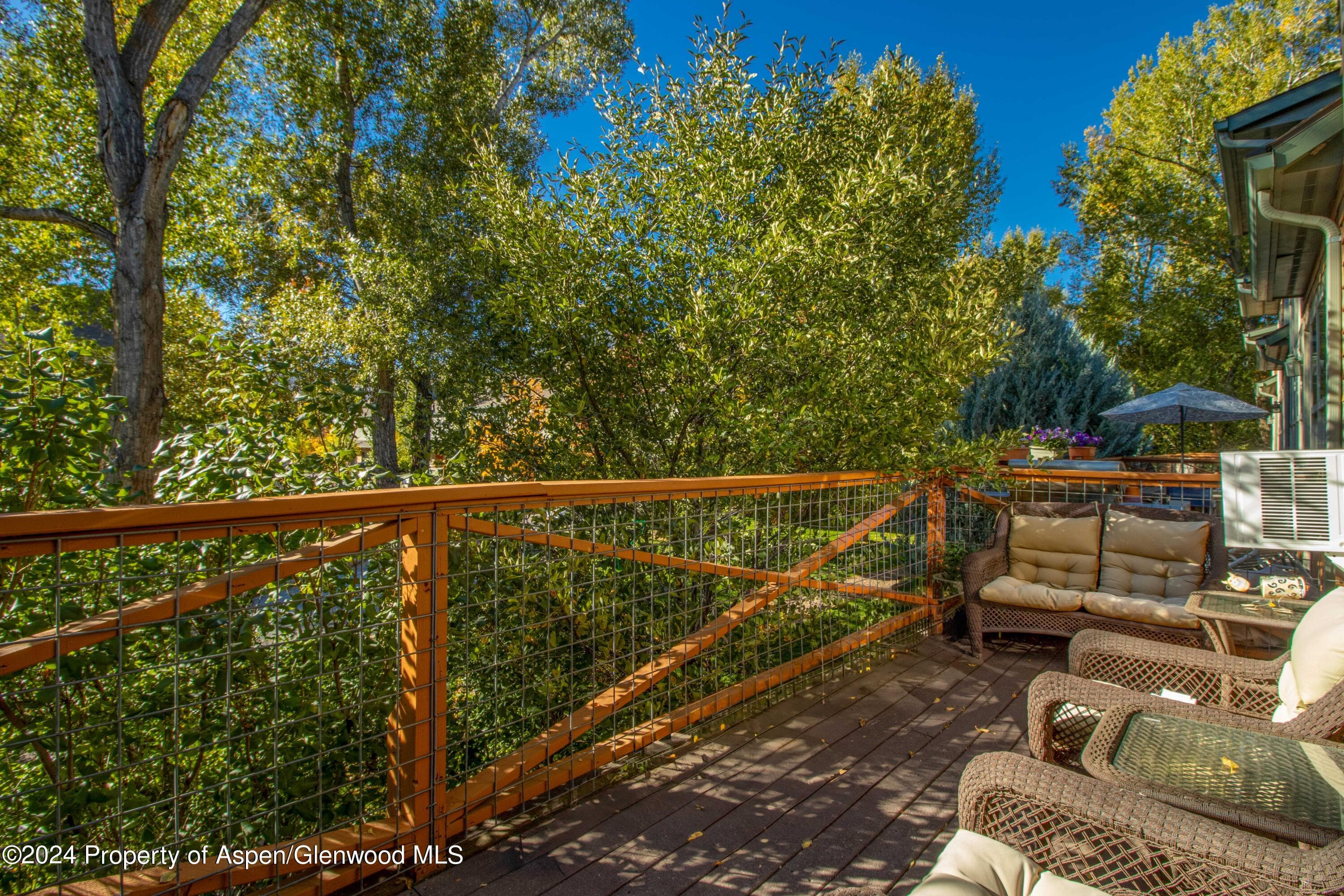532 Evans Court, Basalt, CO 81621 - Photo 3