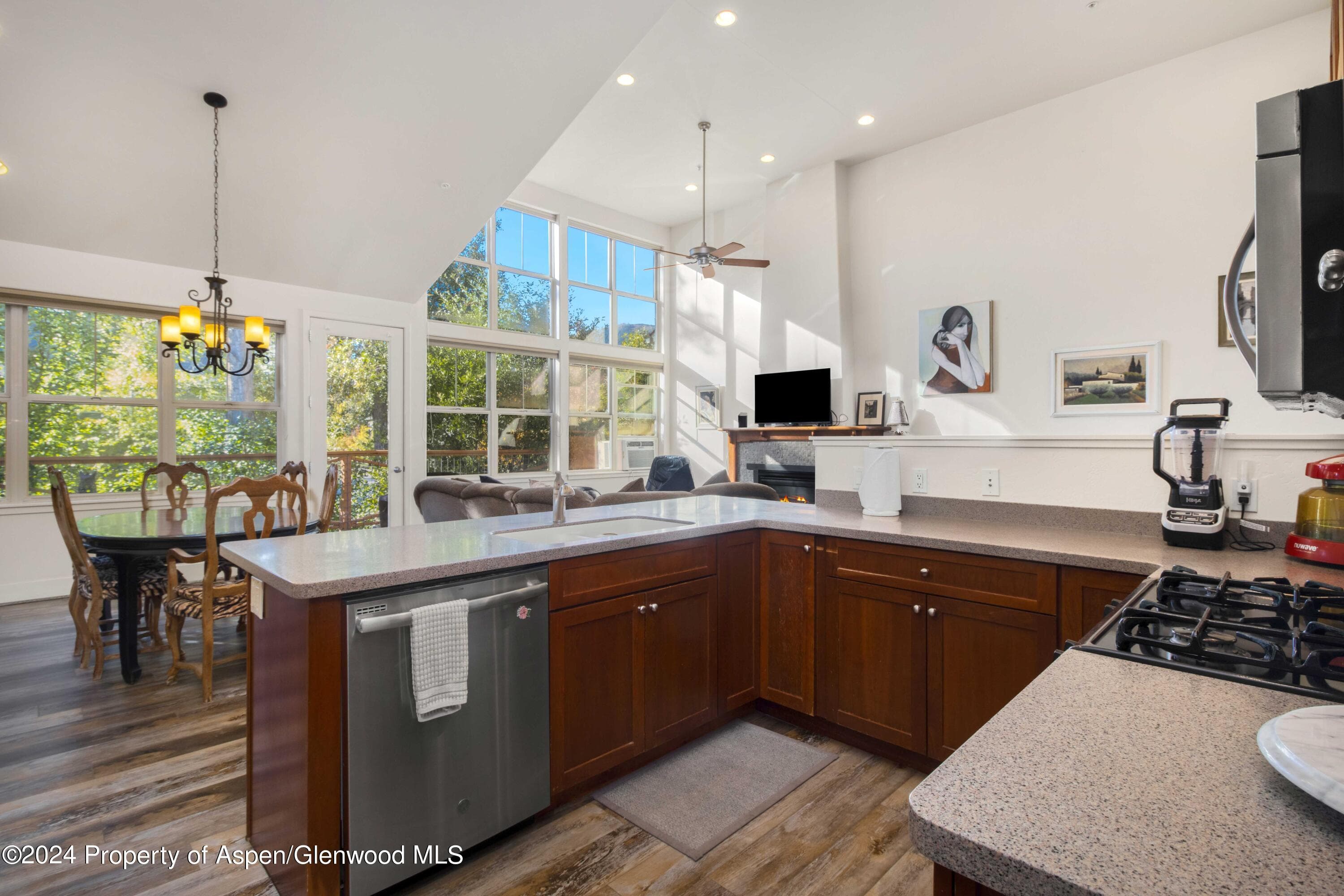 532 Evans Court, Basalt, CO 81621 - Photo 6