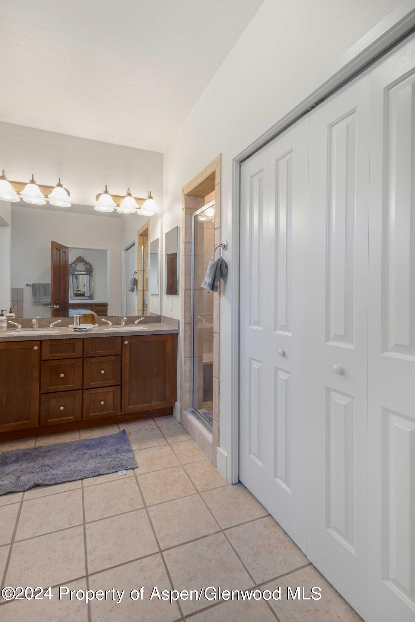 532 Evans Court, Basalt, CO 81621 - Photo 19