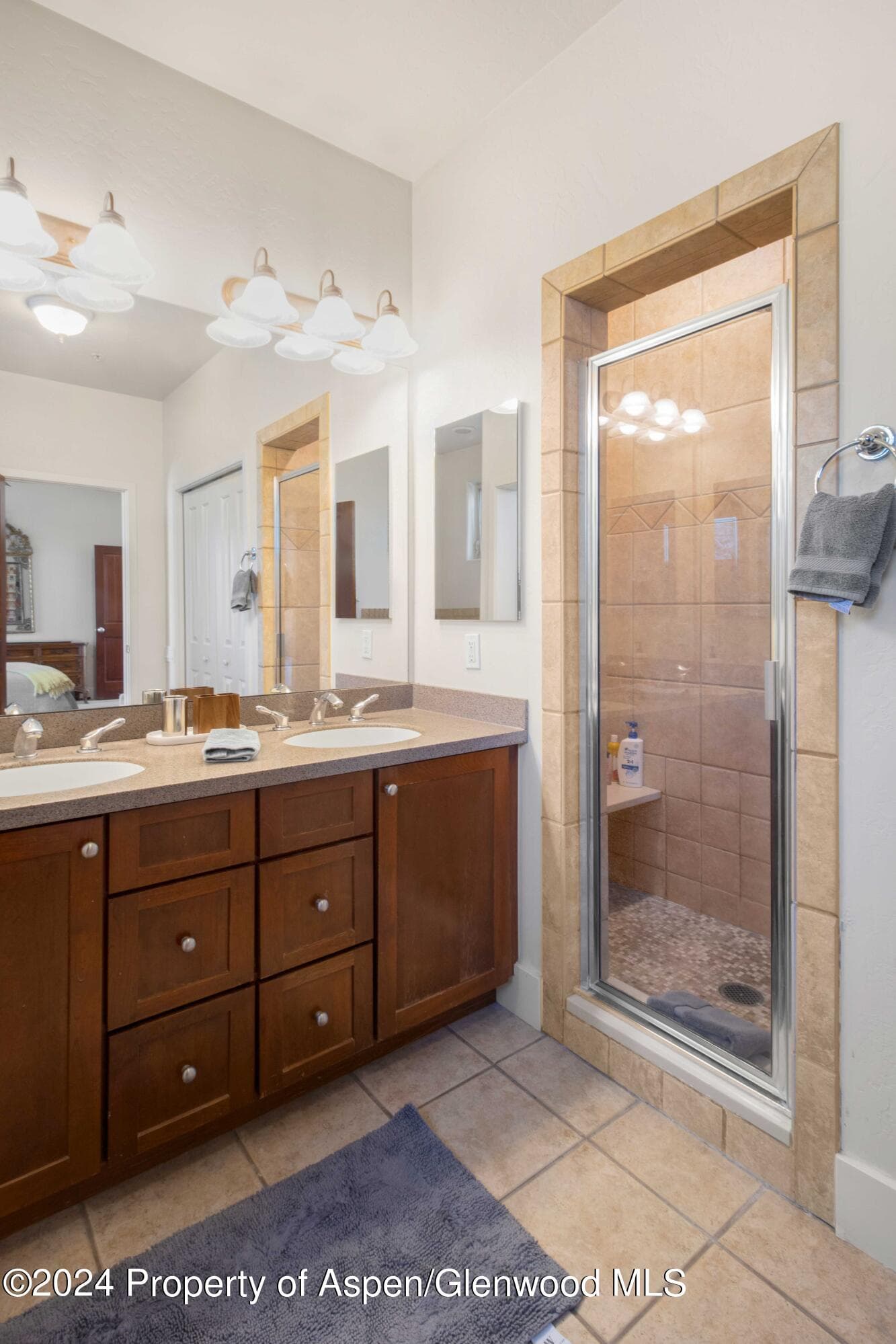 532 Evans Court, Basalt, CO 81621 - Photo 20