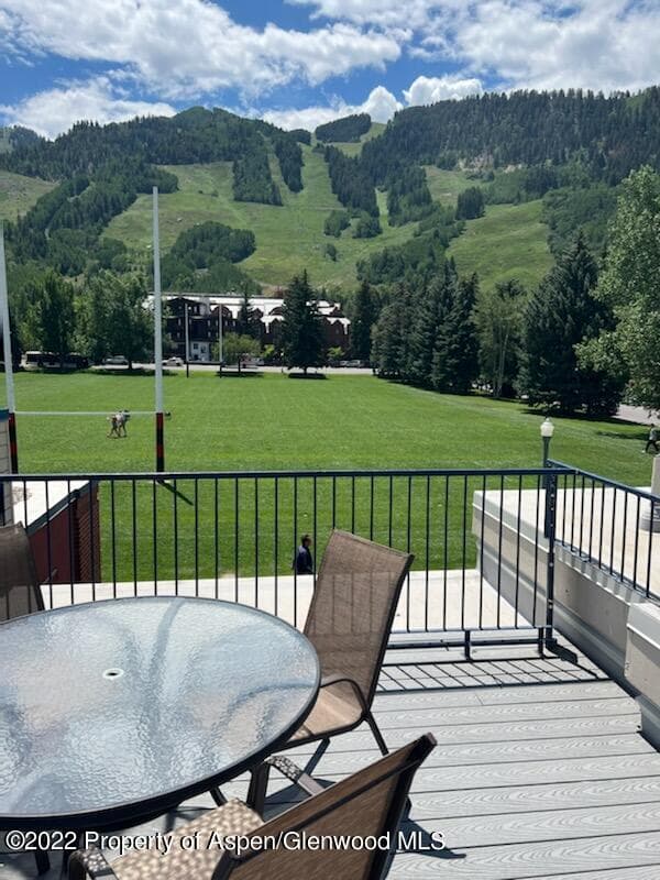 301 E Hyman Avenue #205 (Wks 21,22,38), Aspen, CO 81611 - Photo 15