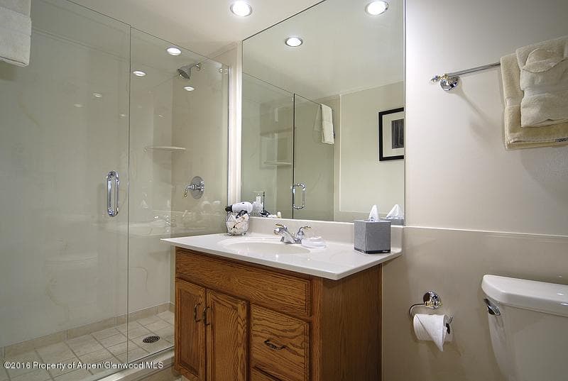 301 E Hyman Avenue #205 (Wks 21,22,38), Aspen, CO 81611 - Photo 9