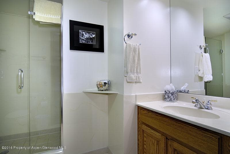 301 E Hyman Avenue #205 (Wks 21,22,38), Aspen, CO 81611 - Photo 10