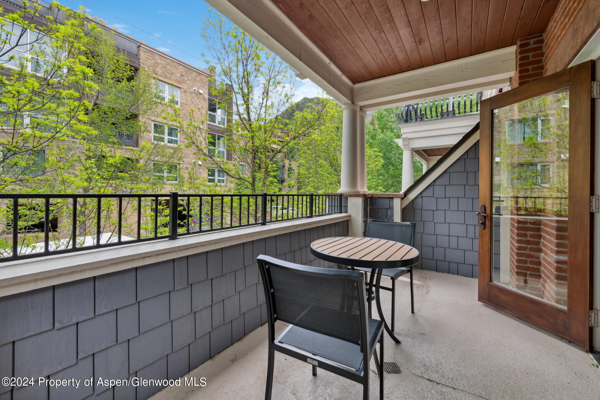 415 E Dean St, Unit 17, Weeks 32/33, Aspen, CO 81611 - Photo 11