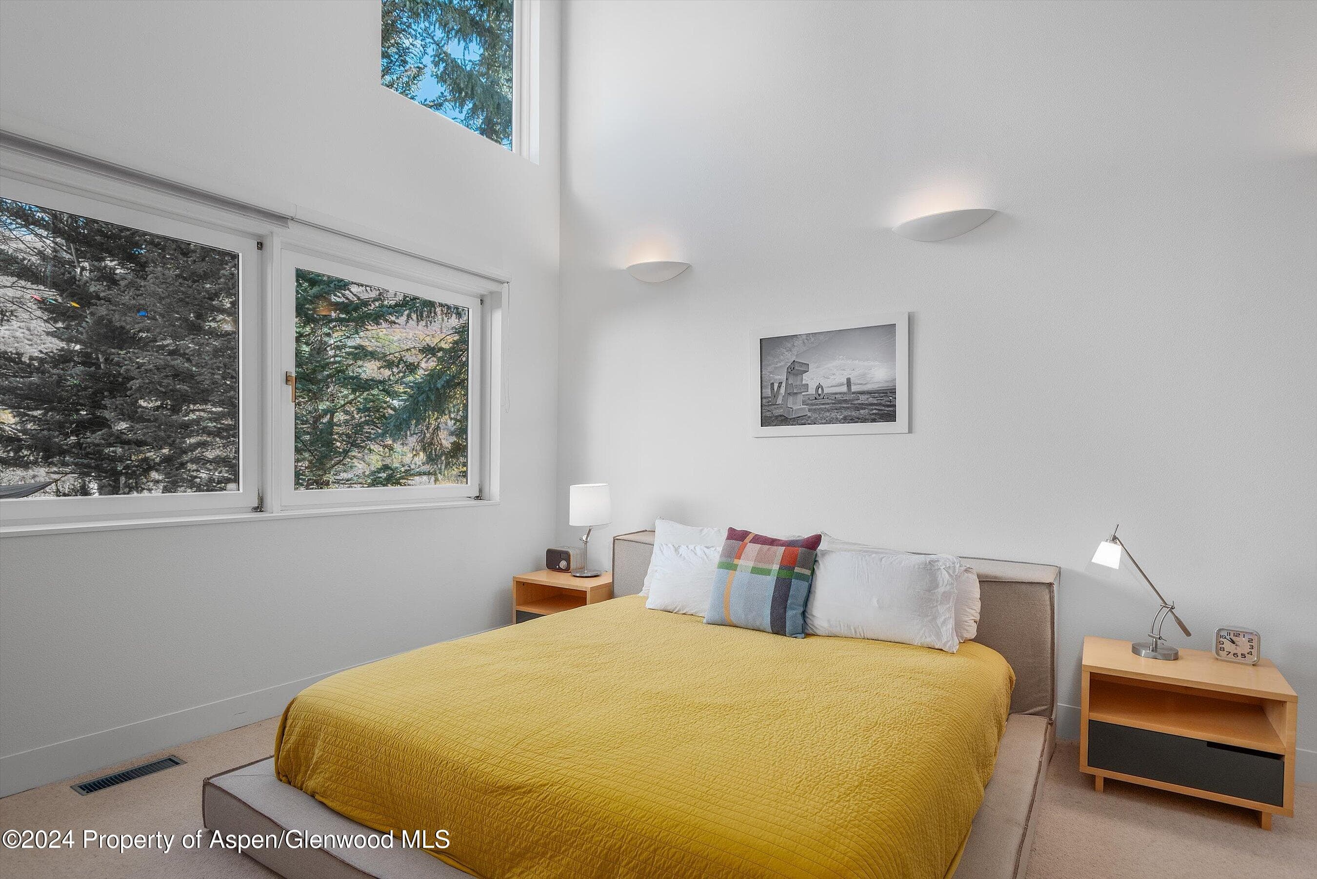1270 Mountain View Drive, Aspen, CO 81611 - Photo 18