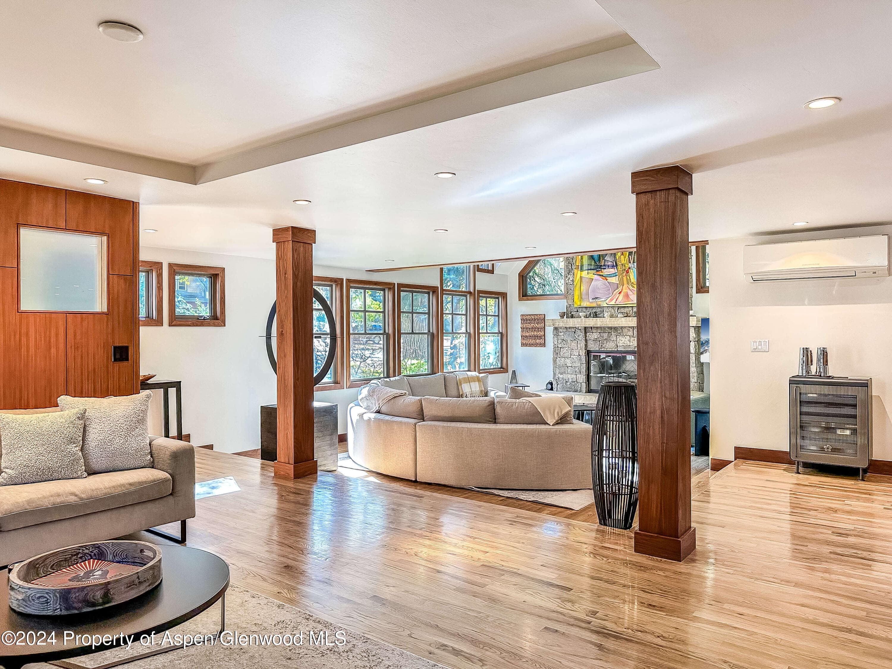602 W Hallam Street, Aspen, CO 81611 - Photo 6
