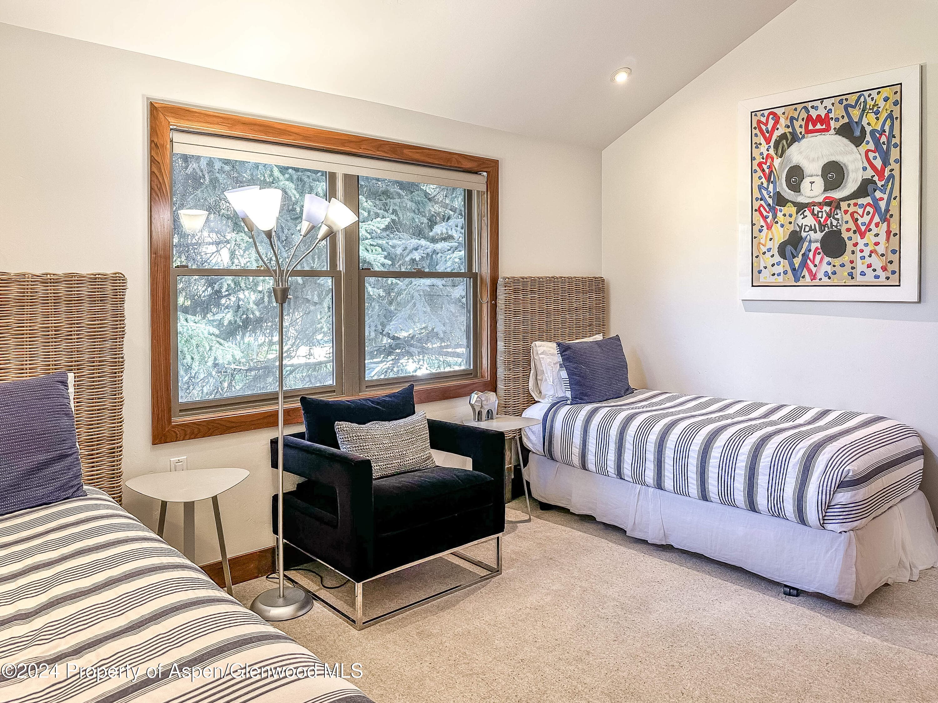 602 W Hallam Street, Aspen, CO 81611 - Photo 29