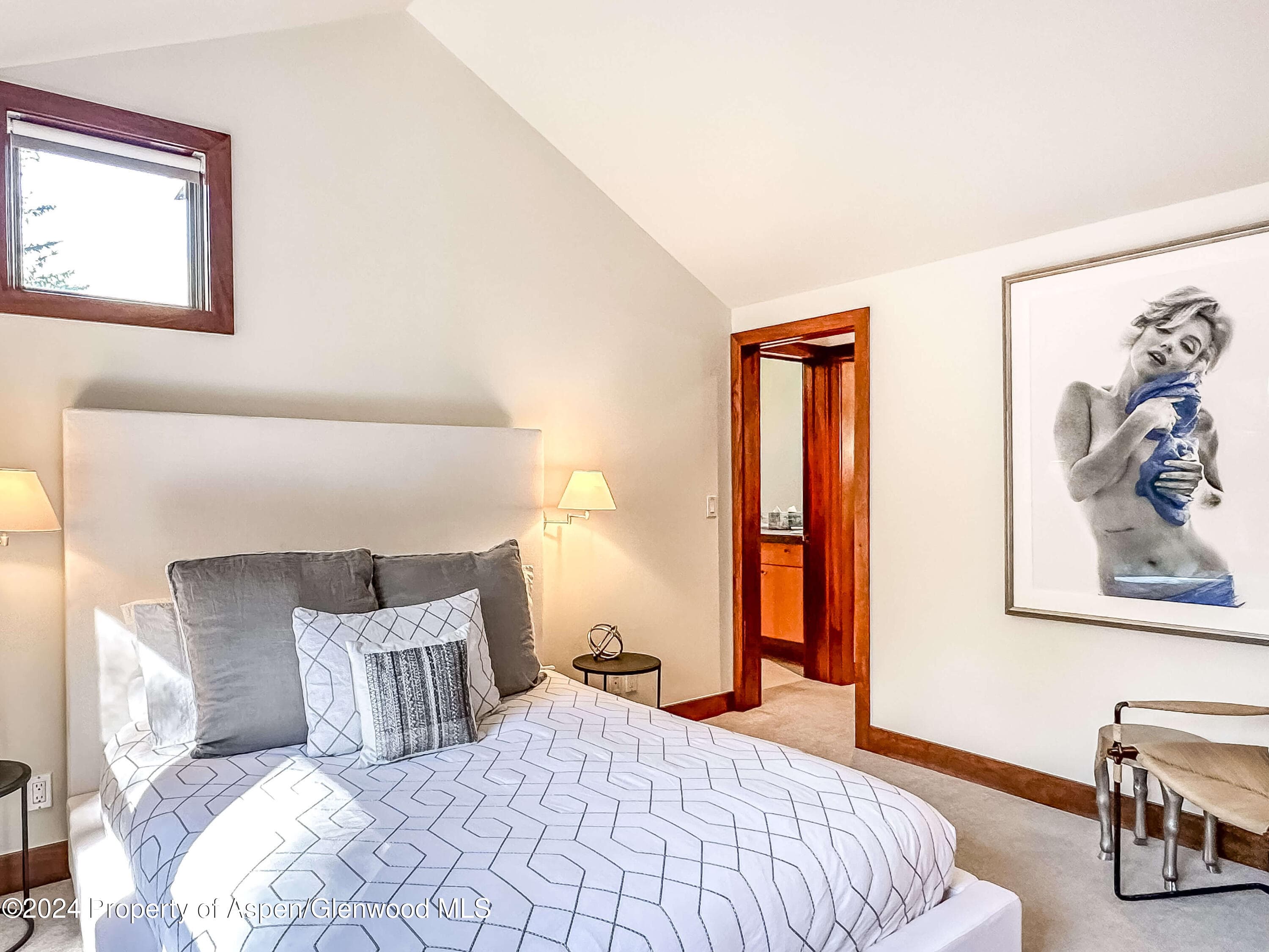 602 W Hallam Street, Aspen, CO 81611 - Photo 24