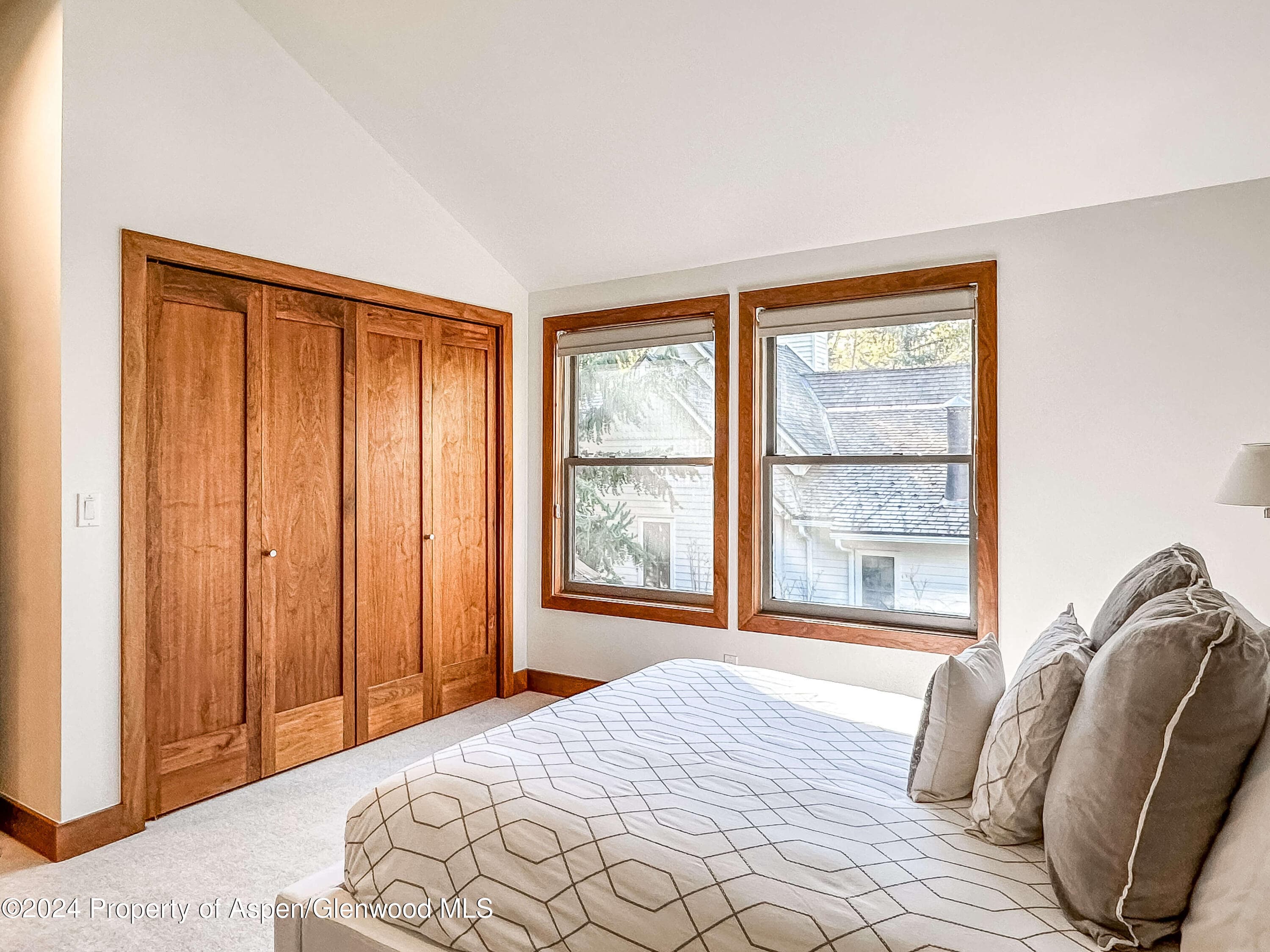 602 W Hallam Street, Aspen, CO 81611 - Photo 25