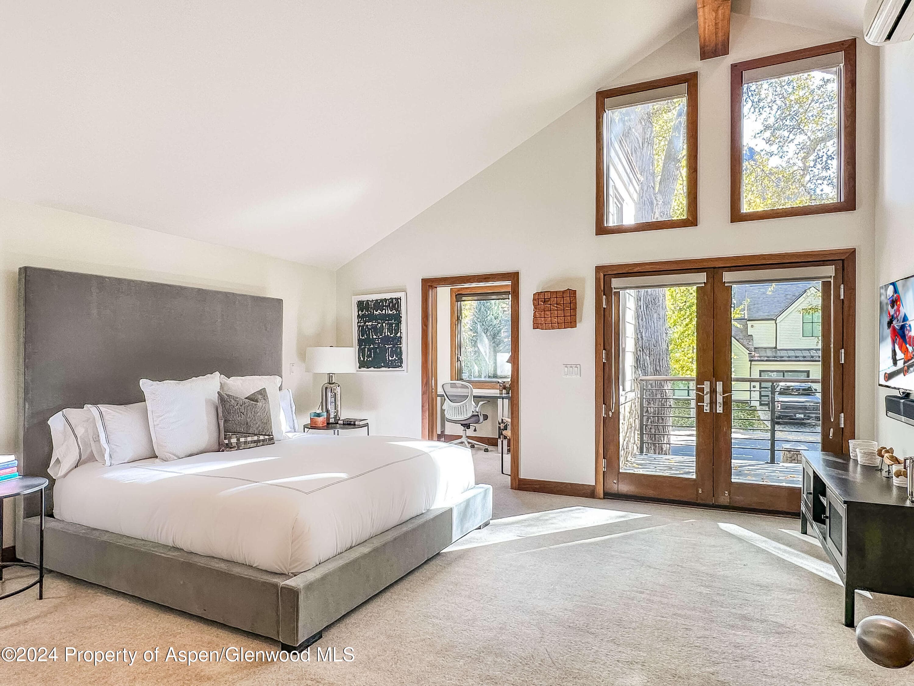 602 W Hallam Street, Aspen, CO 81611 - Photo 16