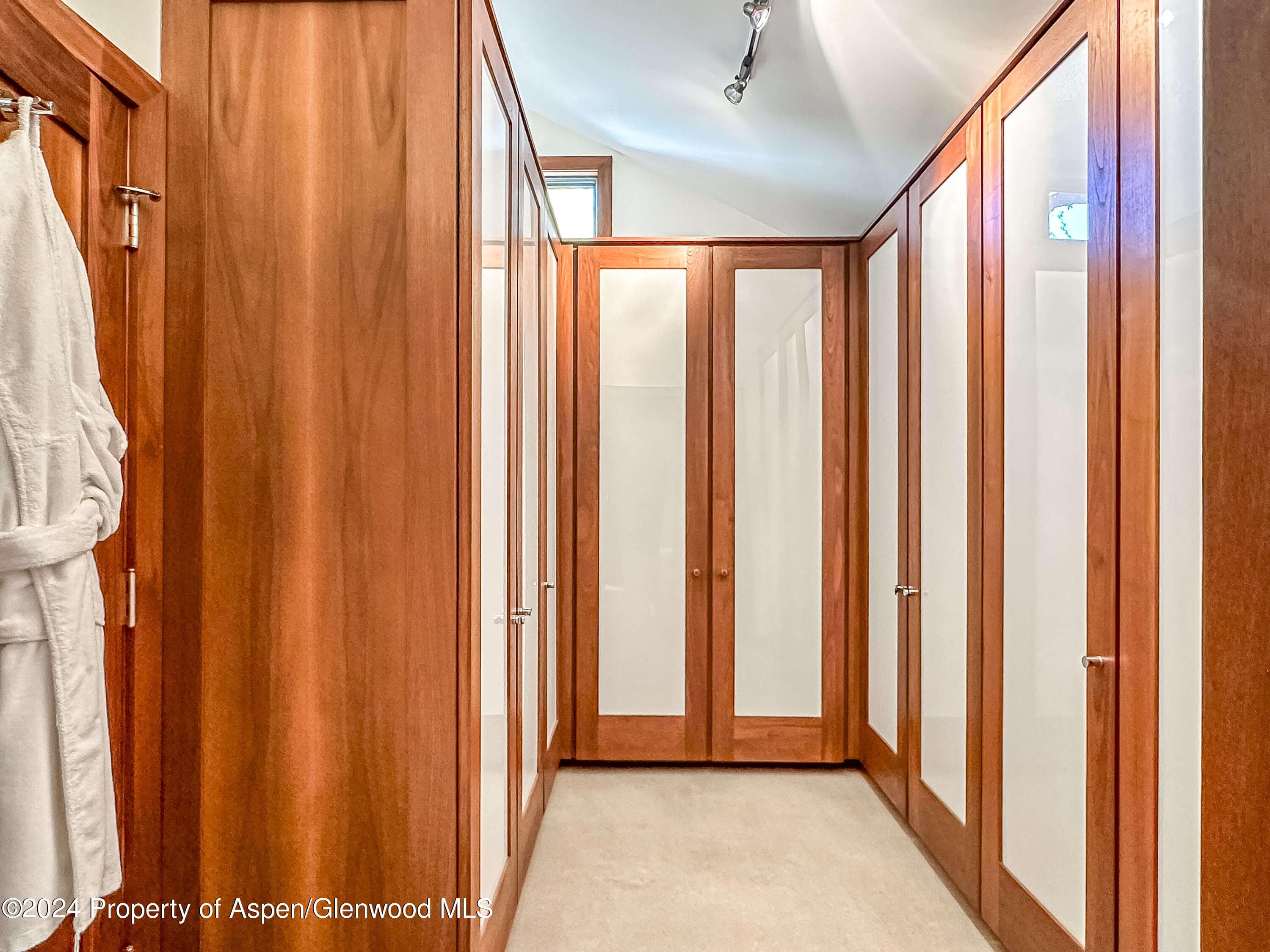 602 W Hallam Street, Aspen, CO 81611 - Photo 19