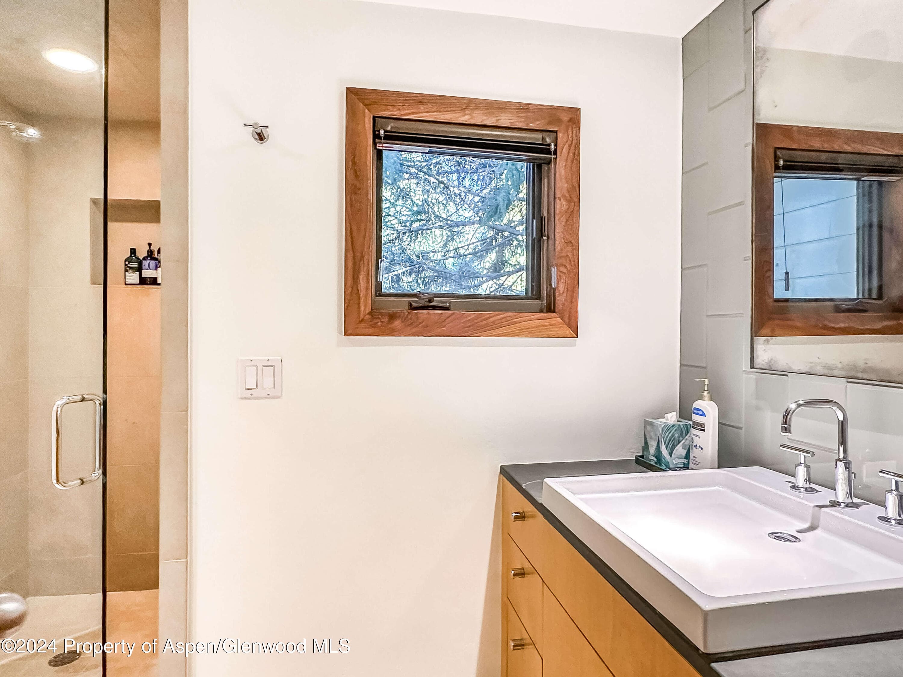 602 W Hallam Street, Aspen, CO 81611 - Photo 32