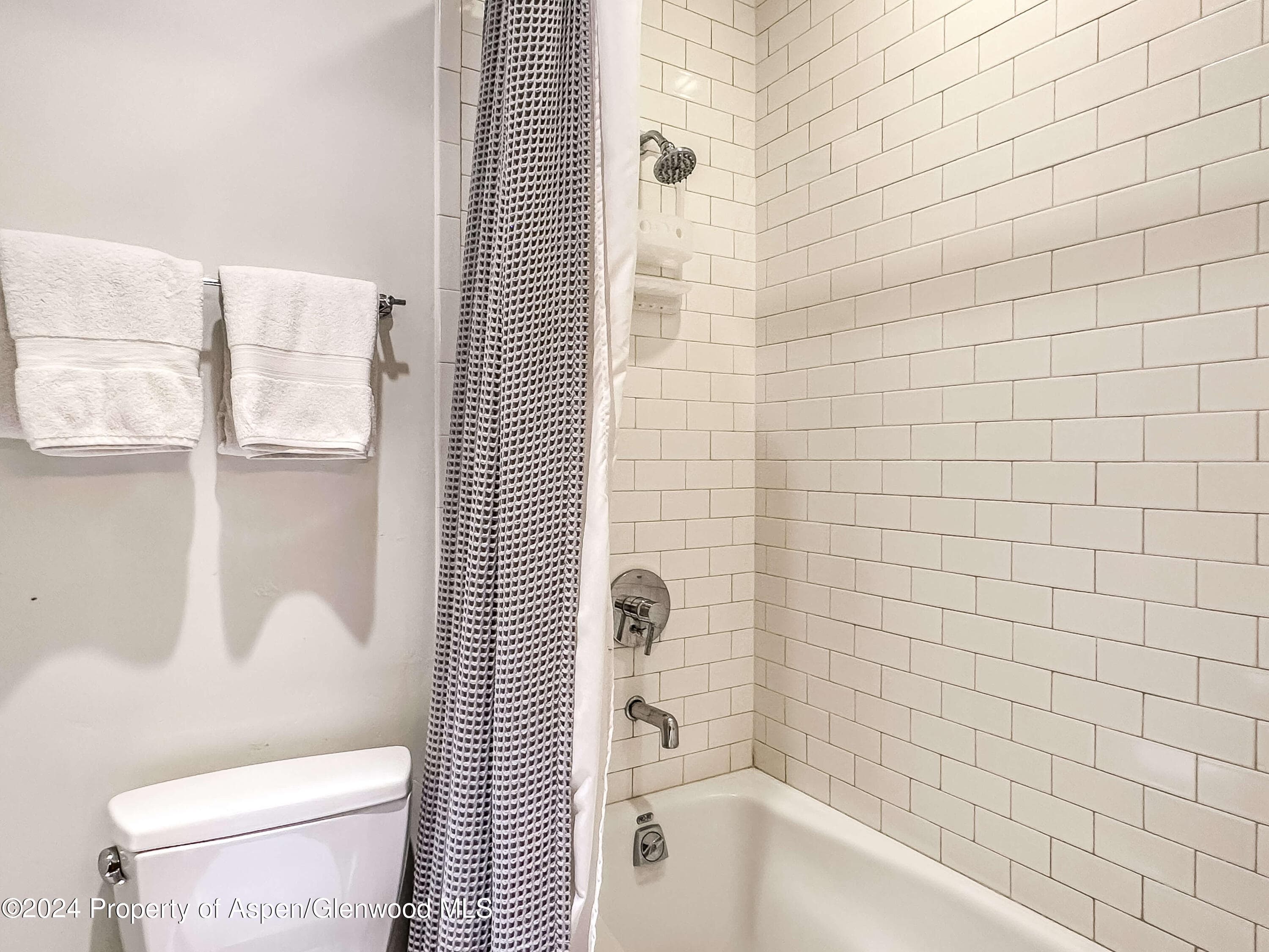 602 W Hallam Street, Aspen, CO 81611 - Photo 35