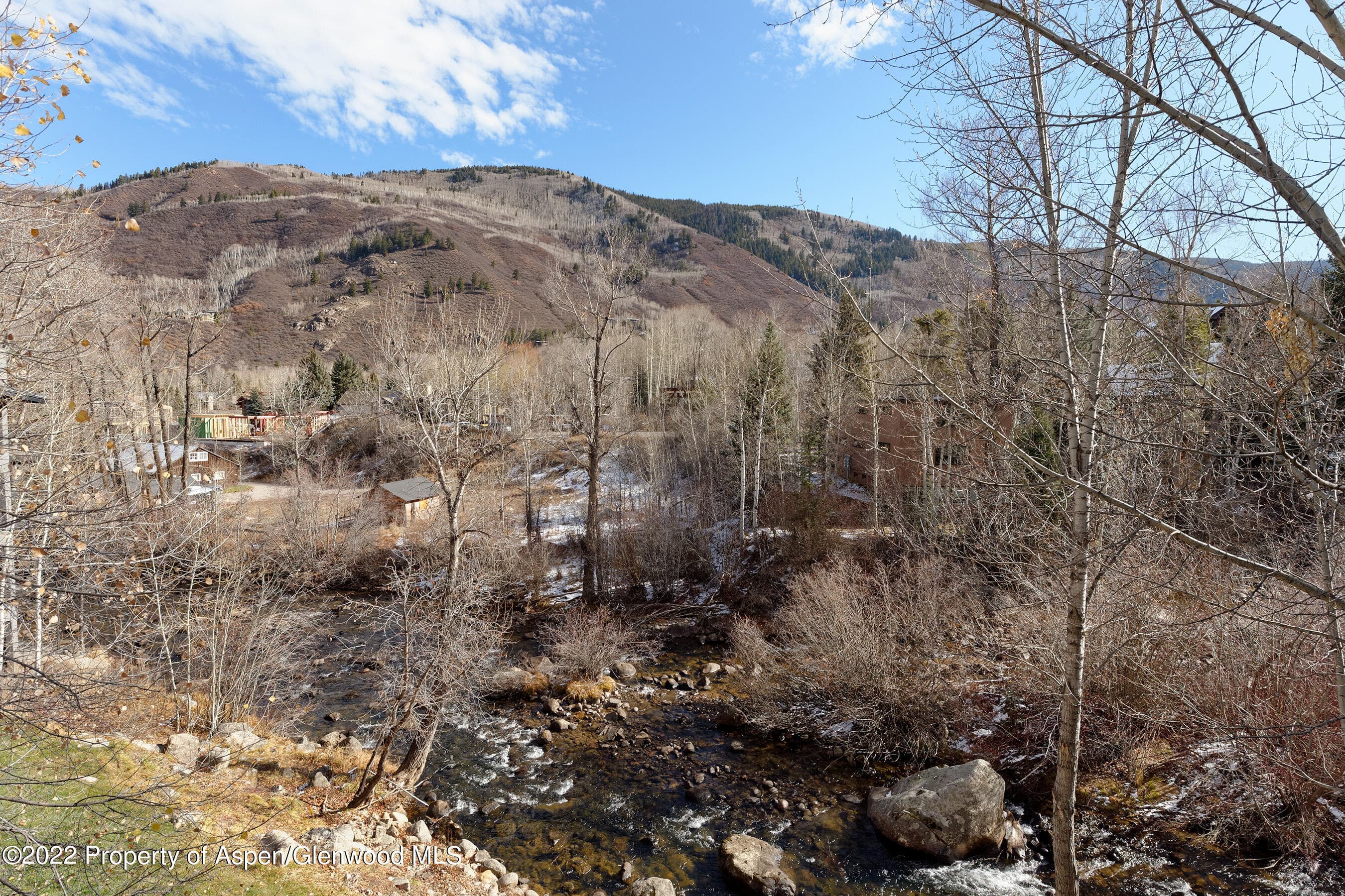 1035 E Durant Avenue #4, Aspen, CO 81611 - Photo 6
