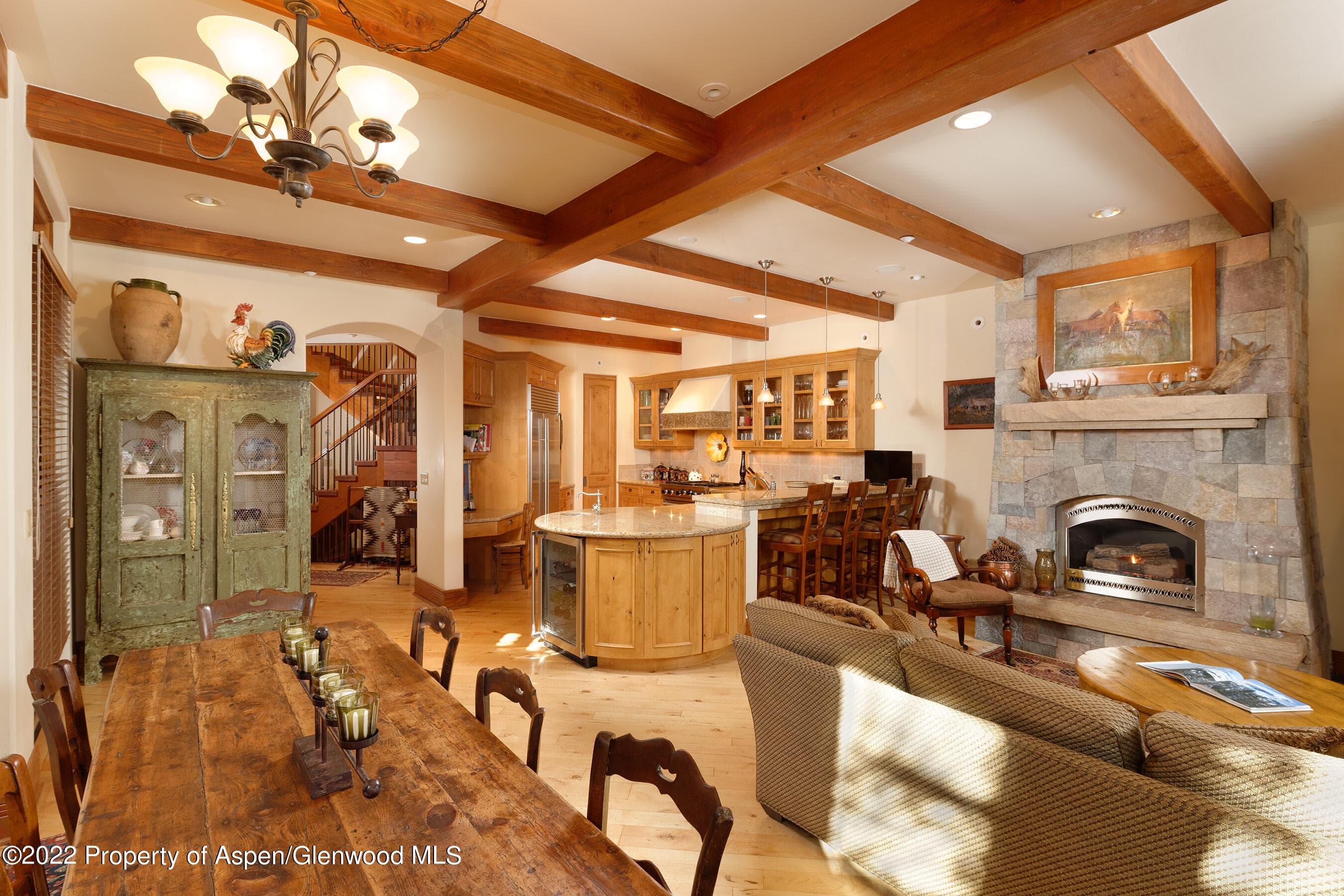 1035 E Durant Avenue #4, Aspen, CO 81611 - Photo 9