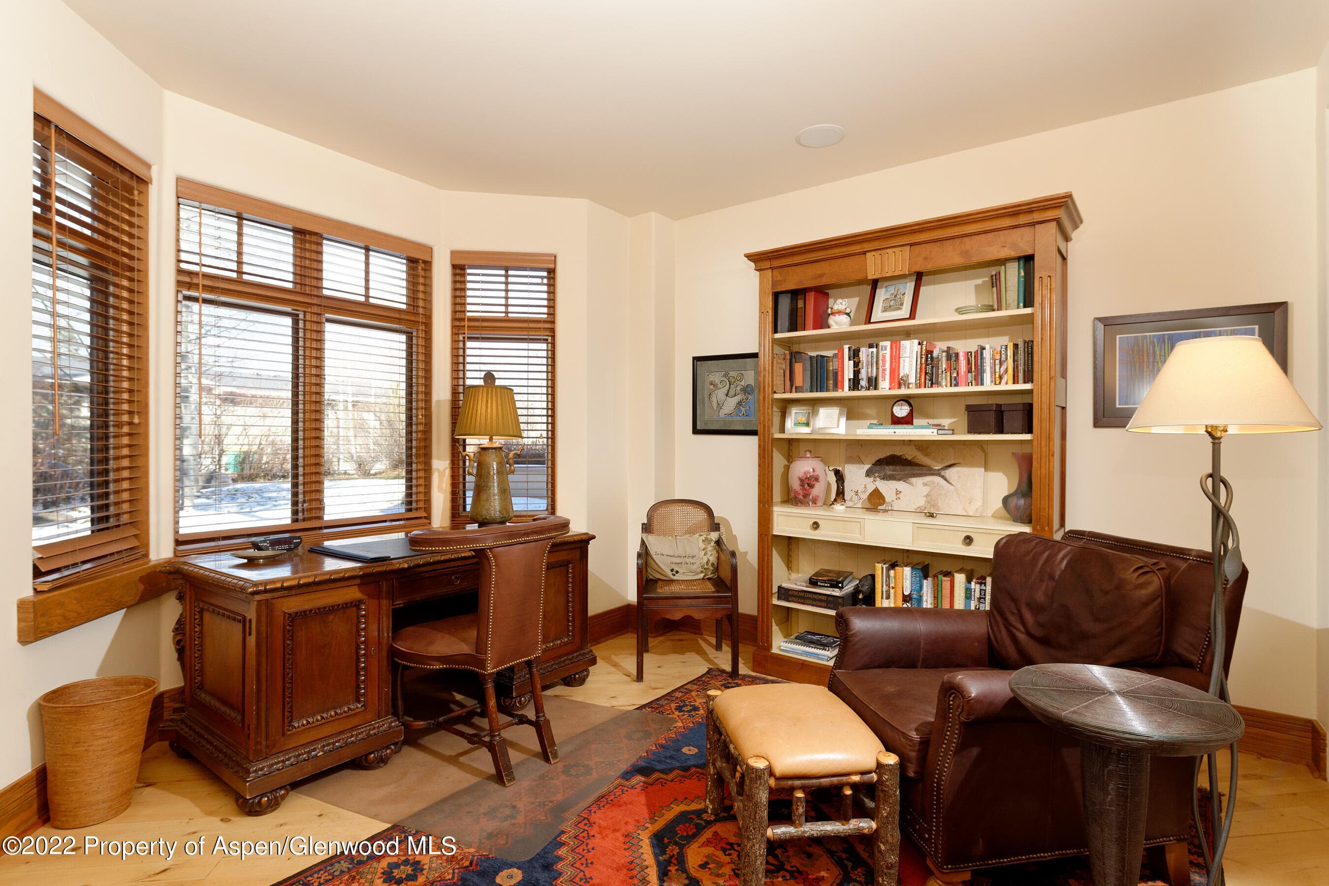 1035 E Durant Avenue #4, Aspen, CO 81611 - Photo 16