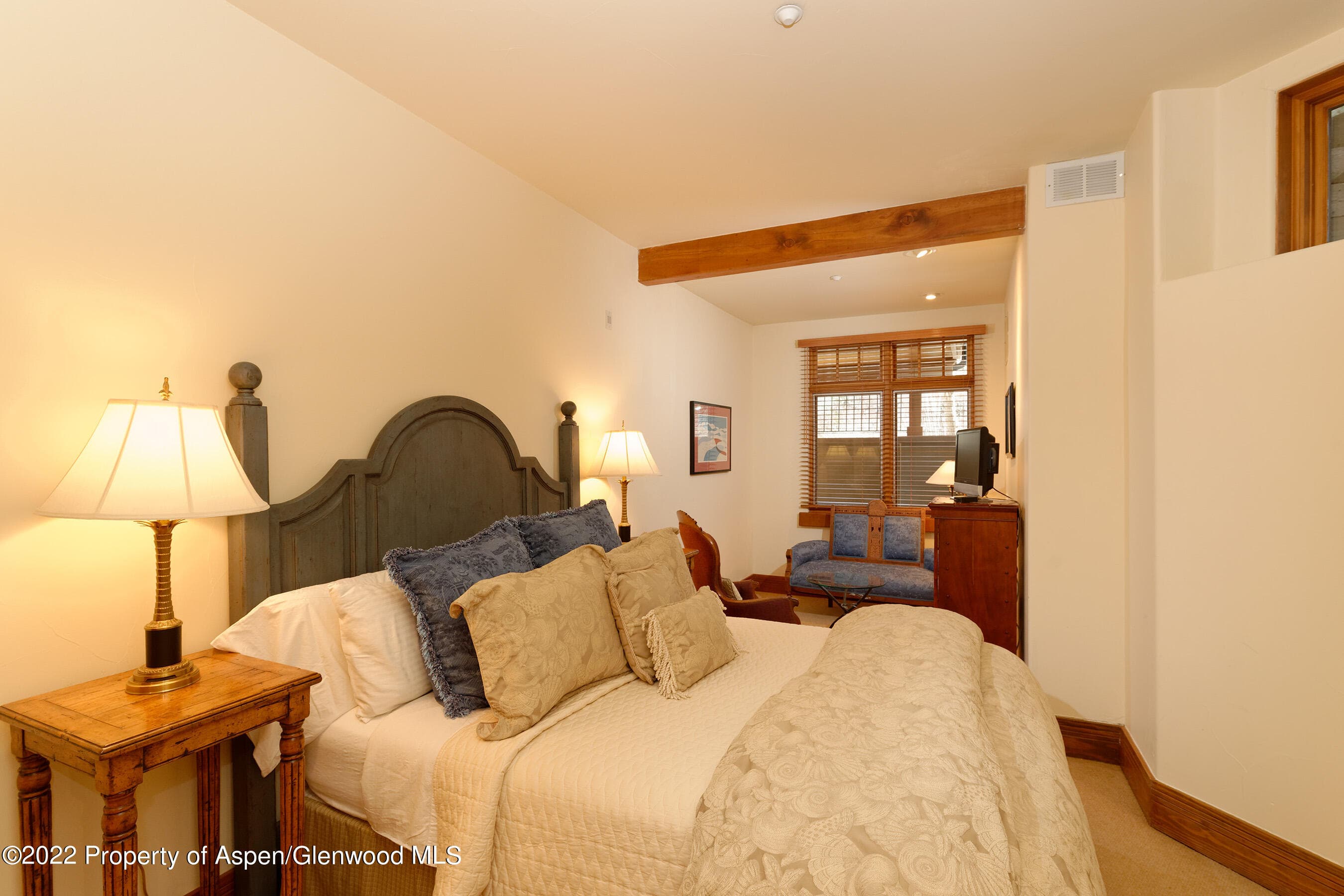 1035 E Durant Avenue #4, Aspen, CO 81611 - Photo 22
