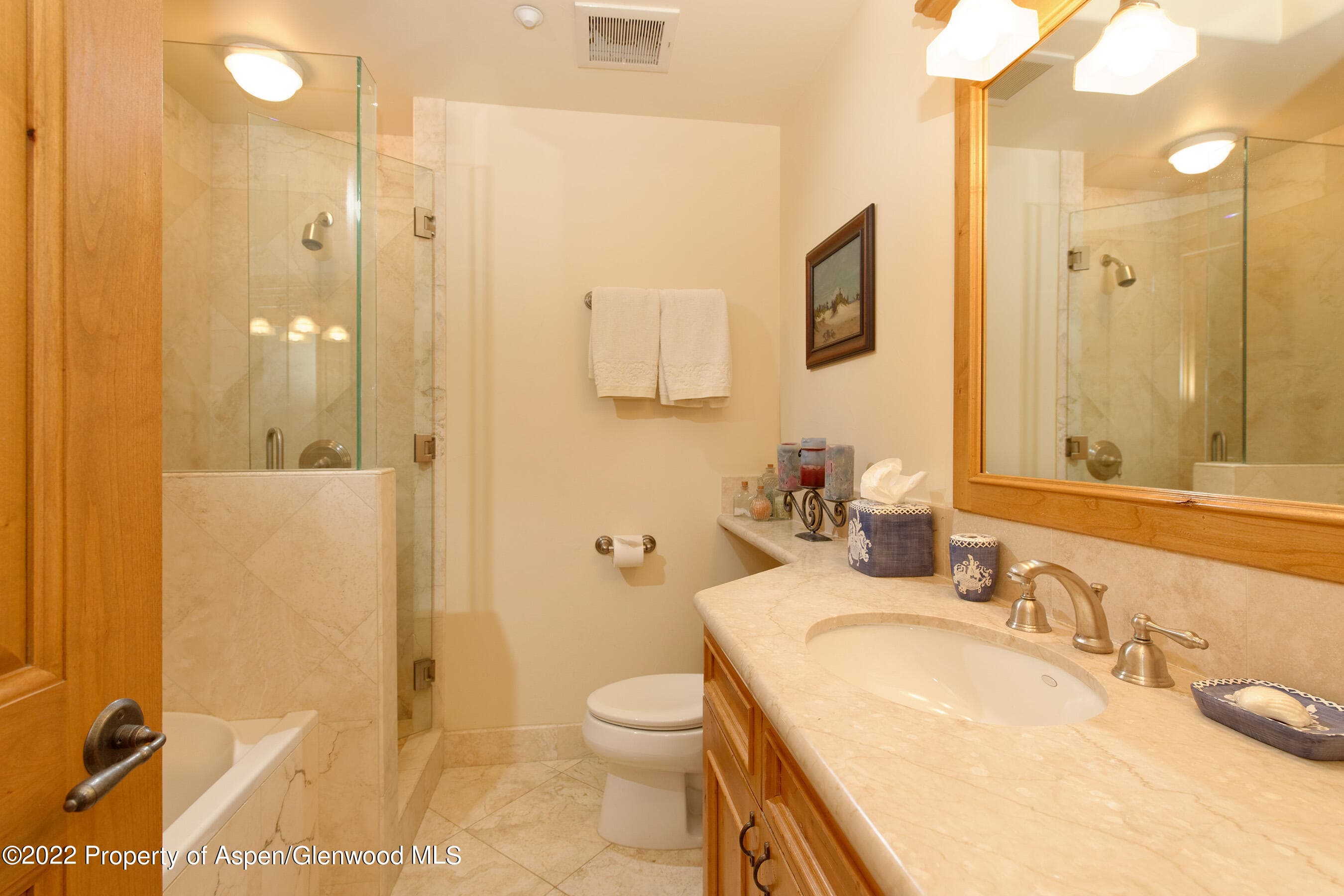1035 E Durant Avenue #4, Aspen, CO 81611 - Photo 23