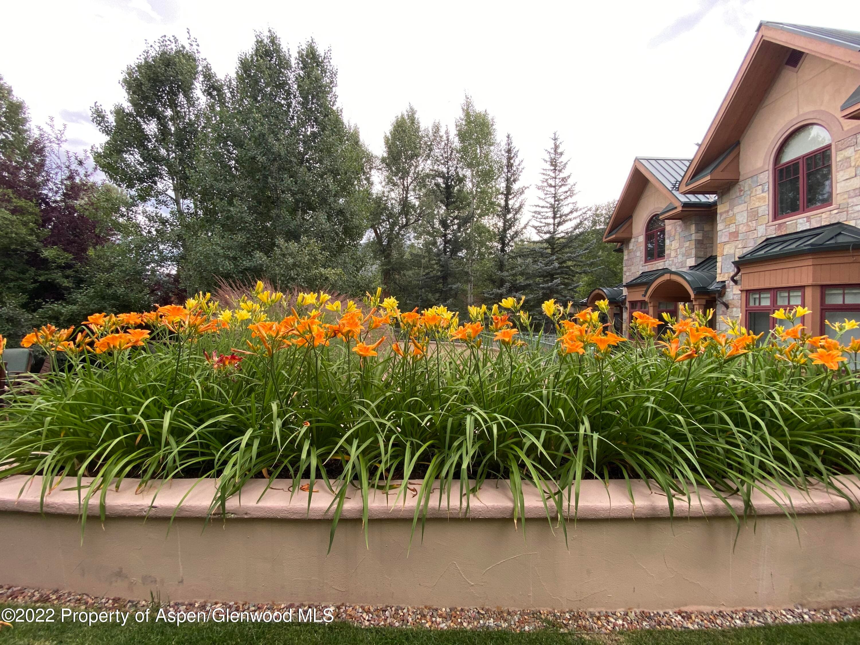 1035 E Durant Avenue #4, Aspen, CO 81611 - Photo 25