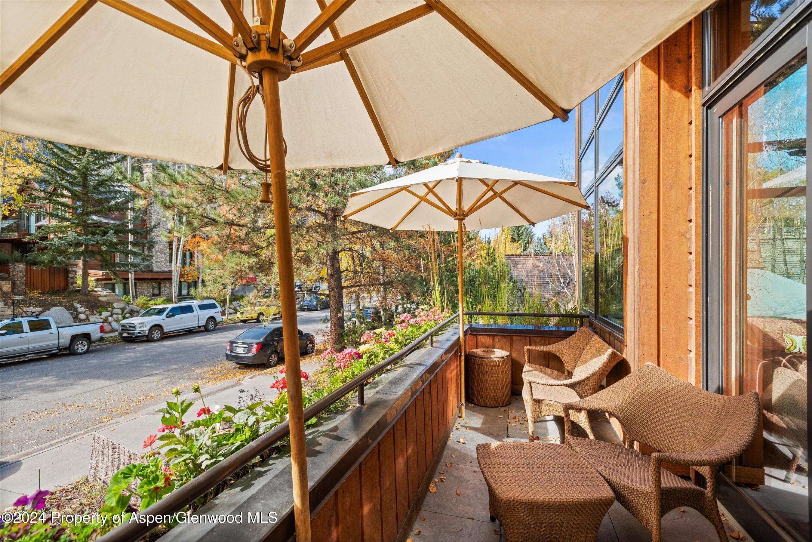 1016 E HOPKINS Avenue, Aspen, CO 81611 - Photo 49