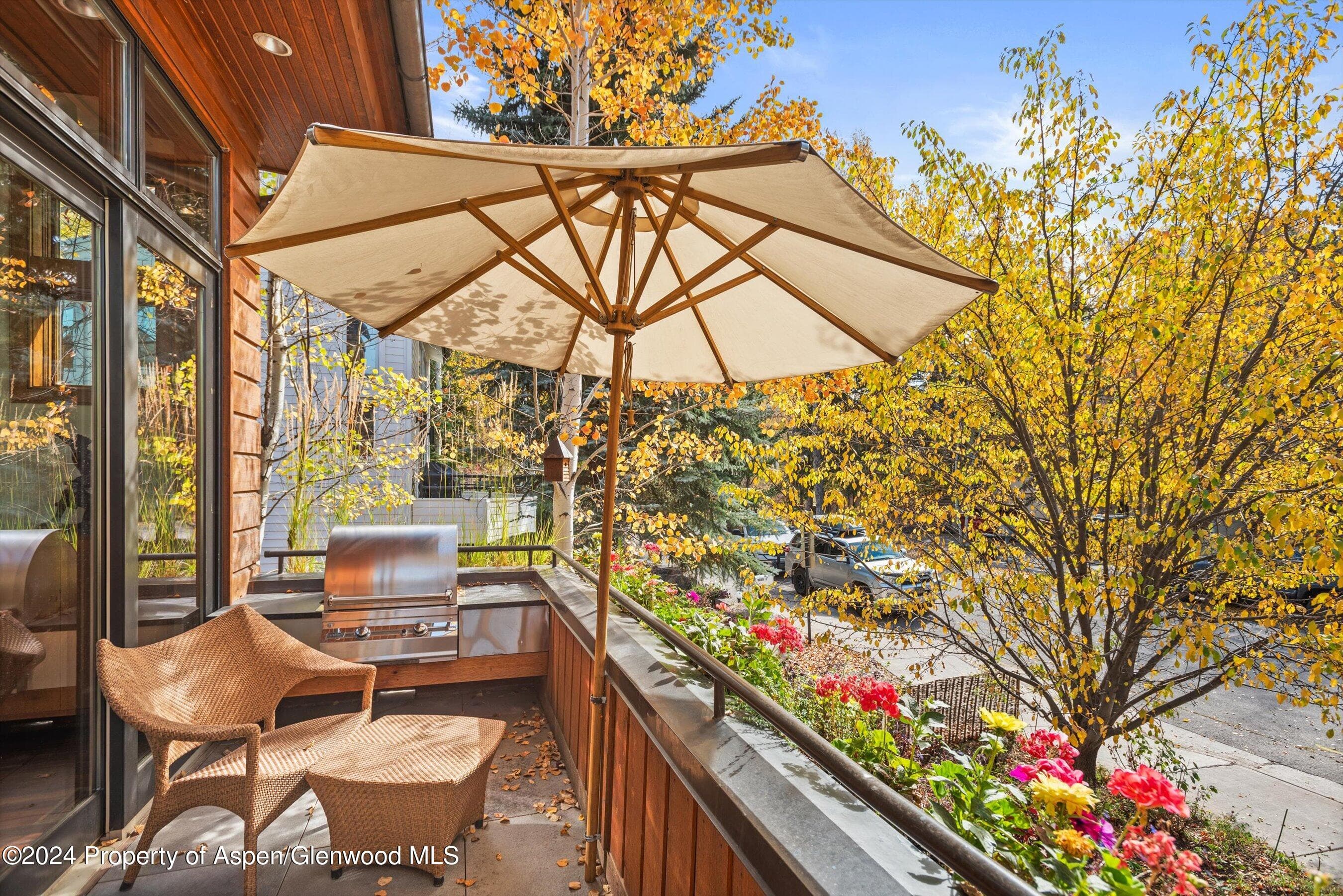 1016 E HOPKINS Avenue, Aspen, CO 81611 - Photo 50