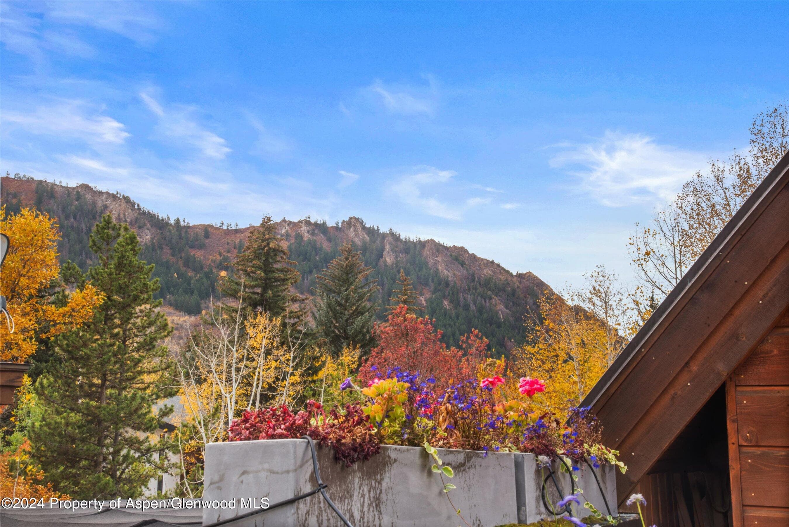 1016 E HOPKINS Avenue, Aspen, CO 81611 - Photo 29