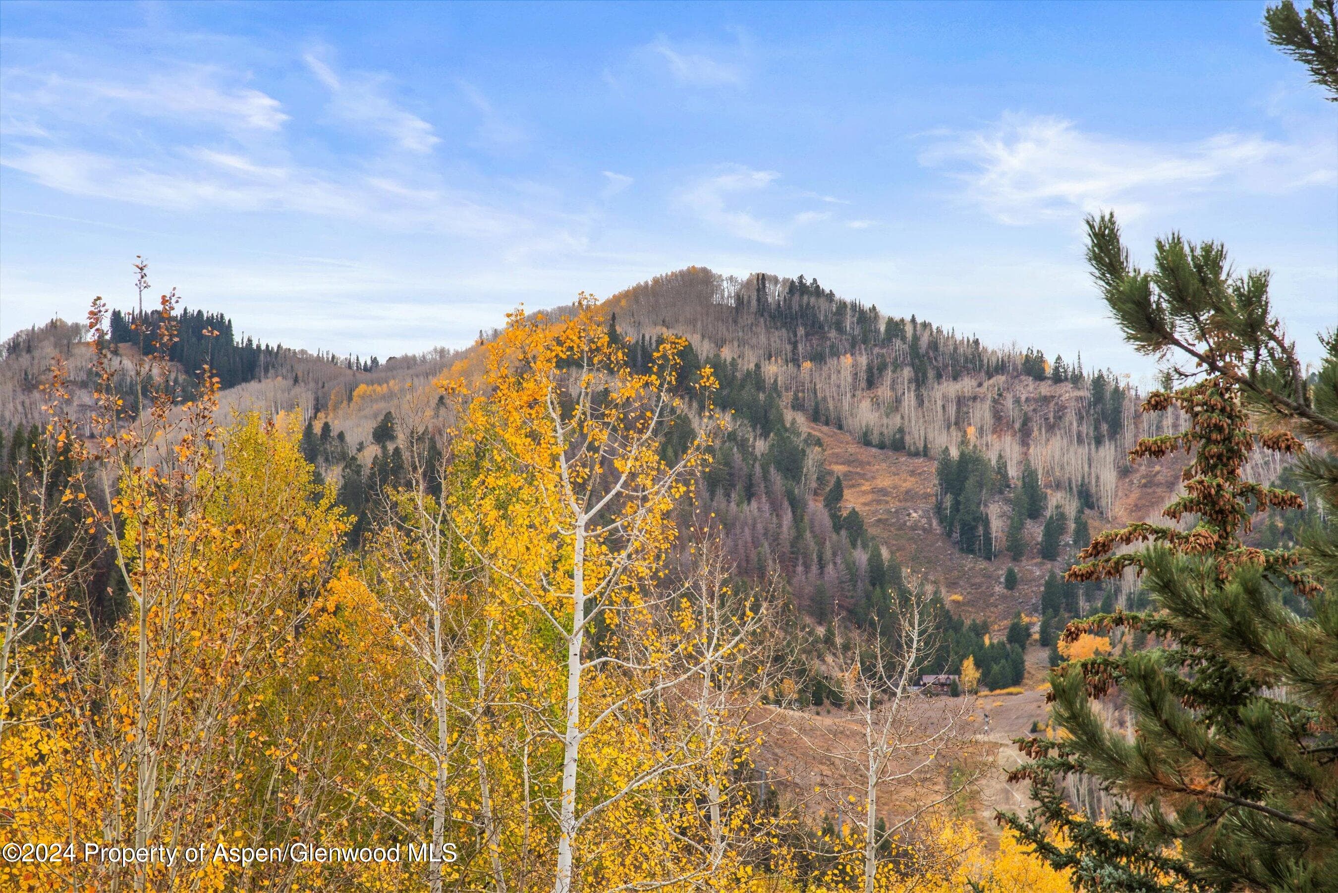 1016 E HOPKINS Avenue, Aspen, CO 81611 - Photo 56