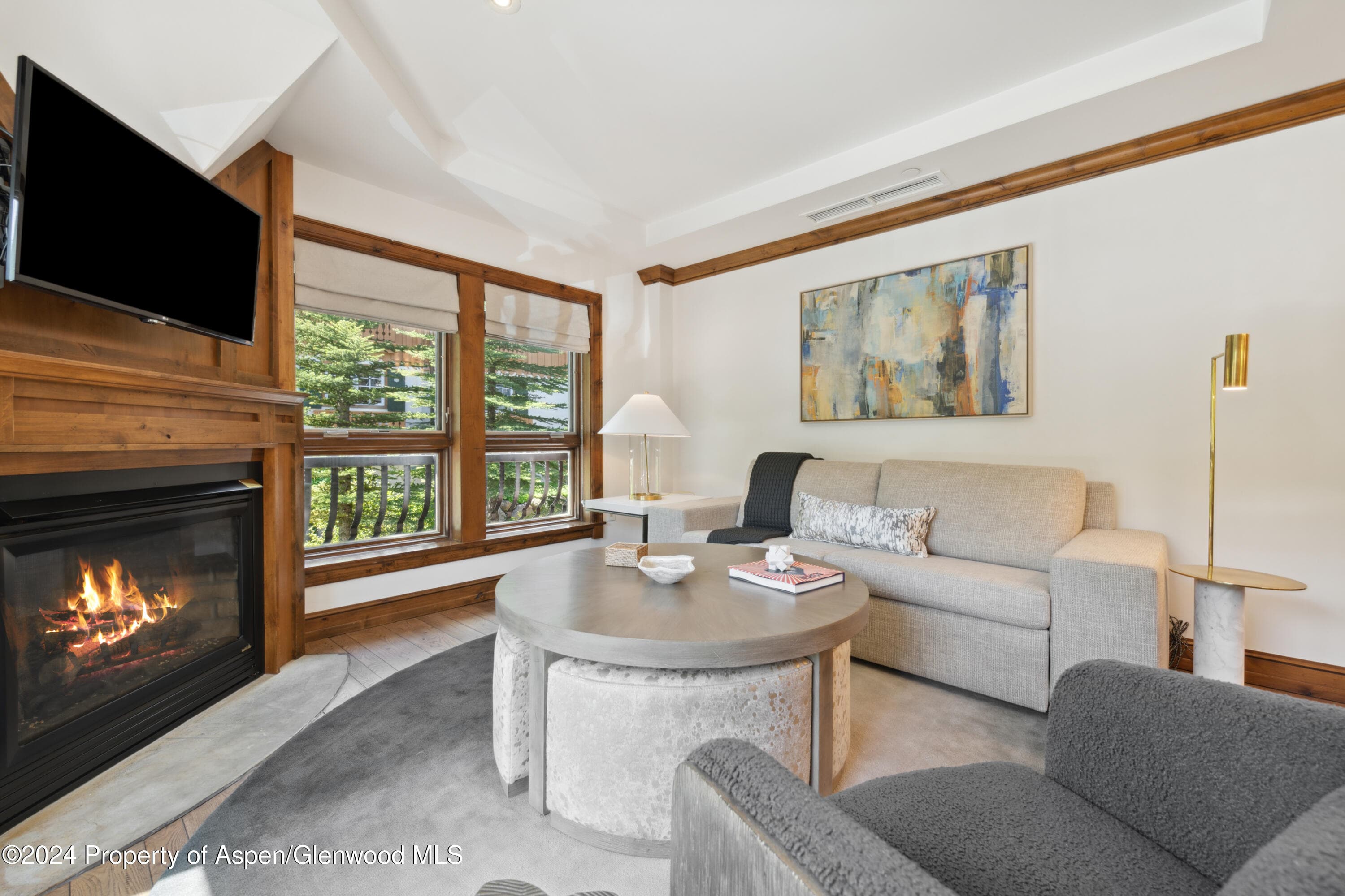 415 E Dean Street 44abc Weeks 51/52, Aspen, CO 81611 - Photo 3