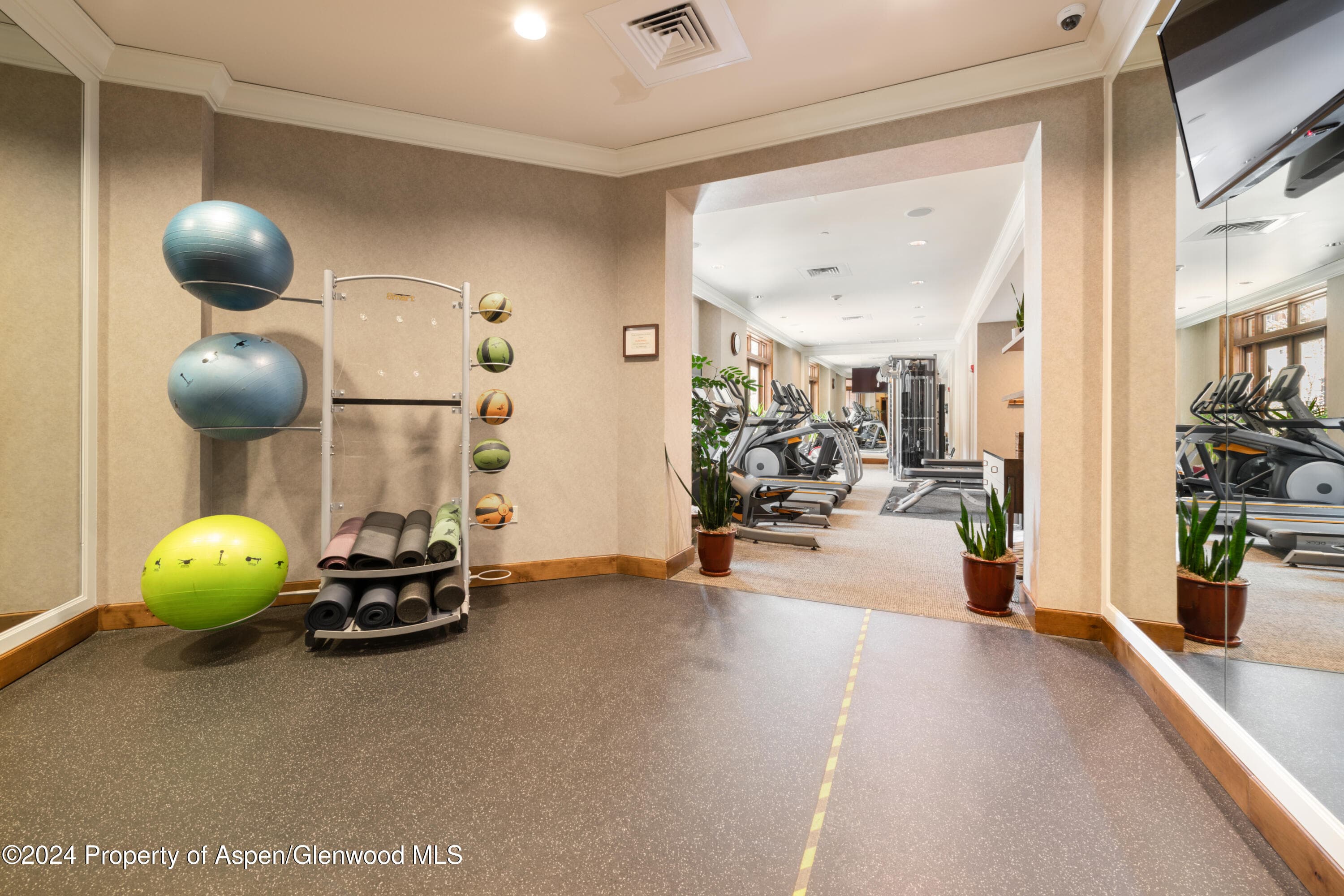 415 E Dean Street 44abc Weeks 51/52, Aspen, CO 81611 - Photo 21