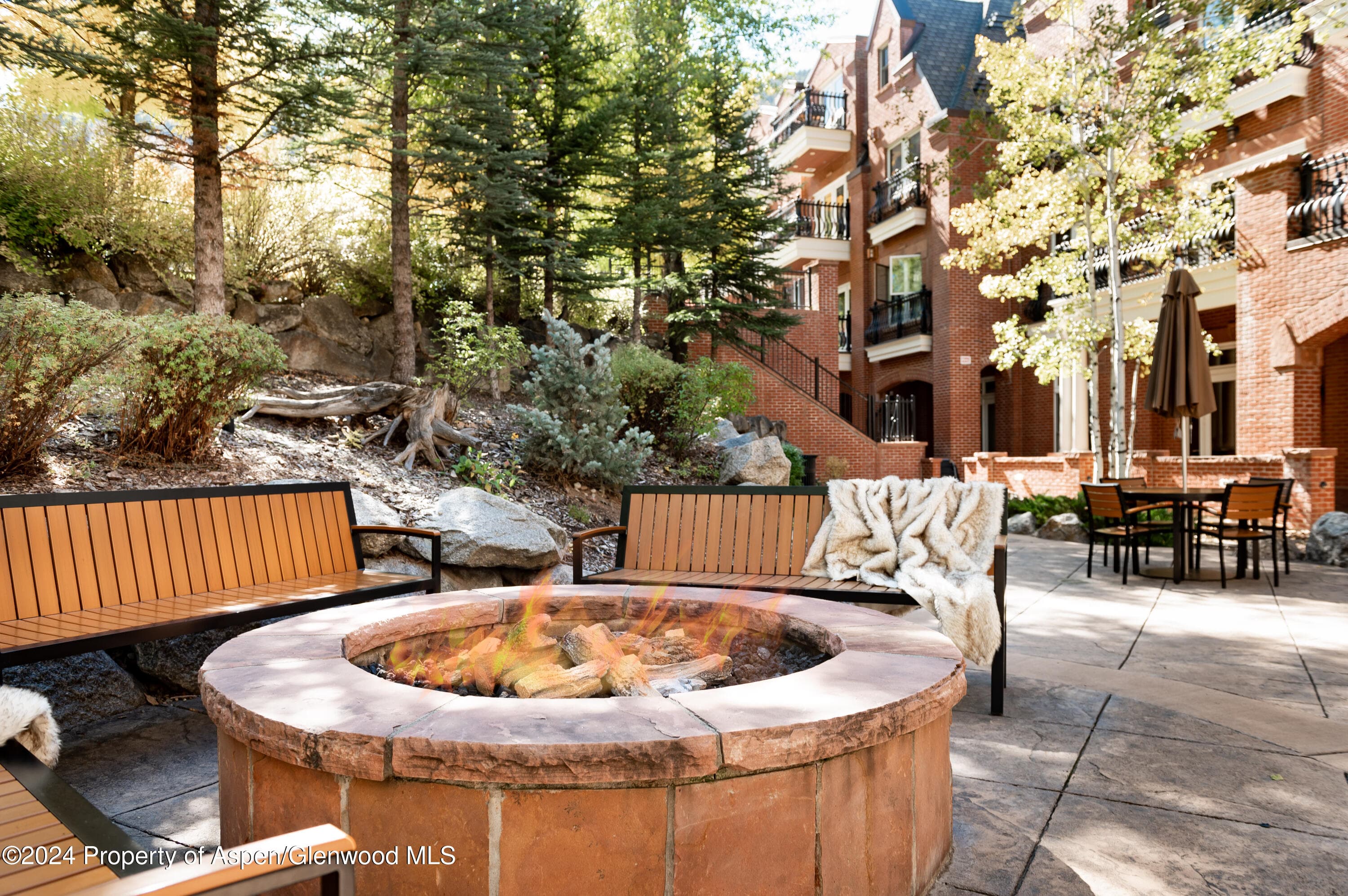 415 E Dean Street 44abc Weeks 51/52, Aspen, CO 81611 - Photo 22
