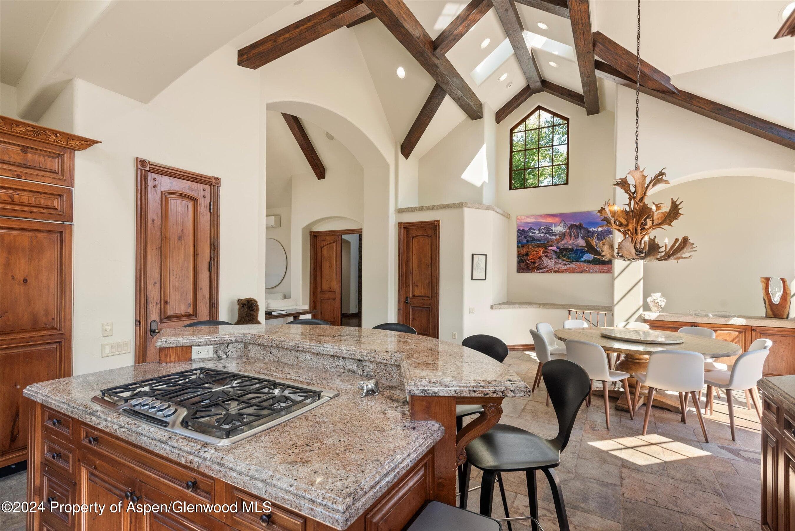 71 Meadow Road, Snowmass Village, CO 81615 - Photo 7