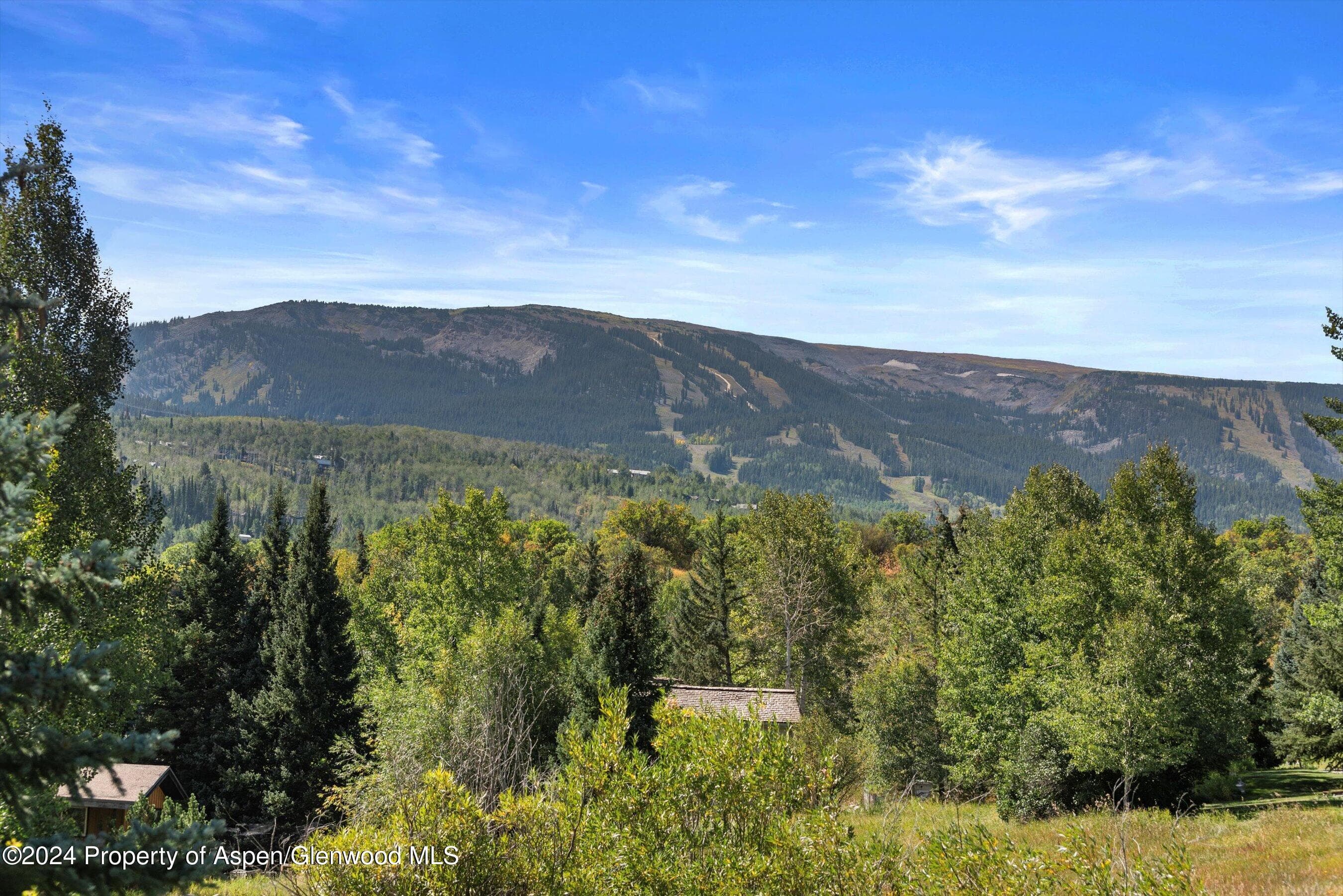 71 Meadow Road, Snowmass Village, CO 81615 - Photo 43