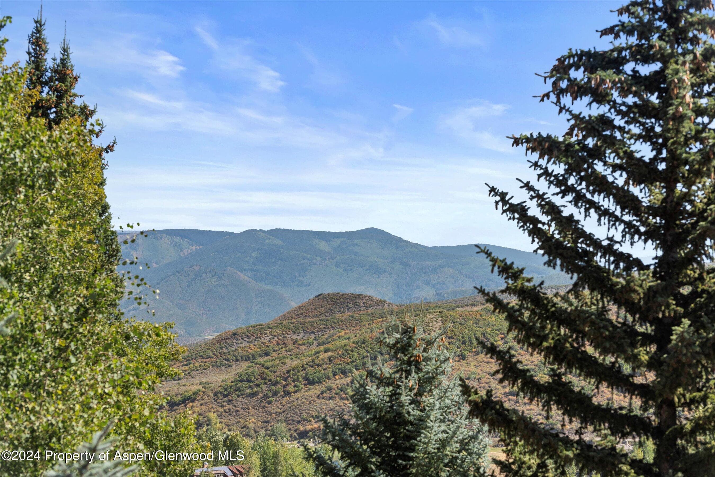 71 Meadow Road, Snowmass Village, CO 81615 - Photo 44
