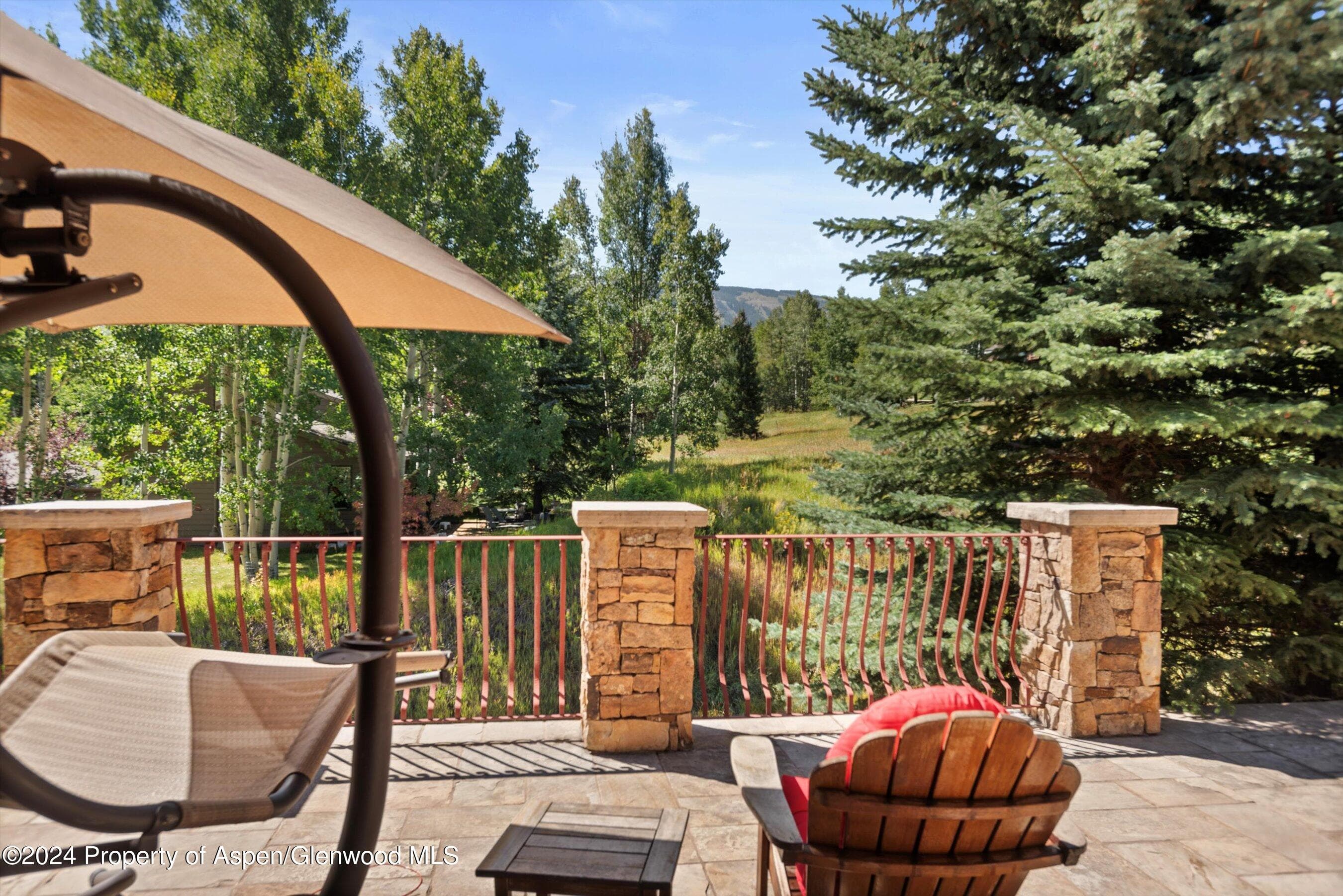 71 Meadow Road, Snowmass Village, CO 81615 - Photo 33