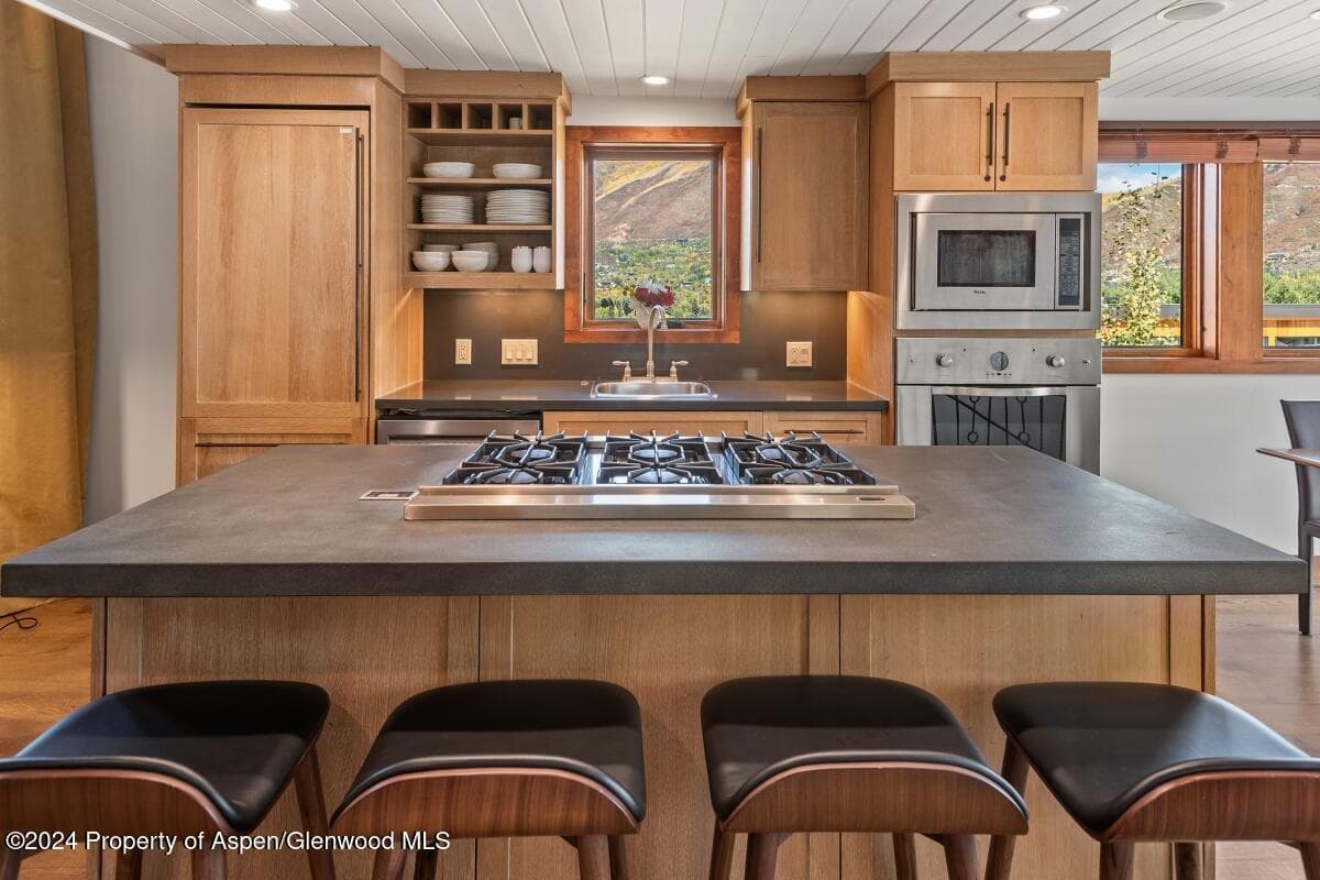 809 S Aspen Street #1, Aspen, CO 81611 - Photo 10