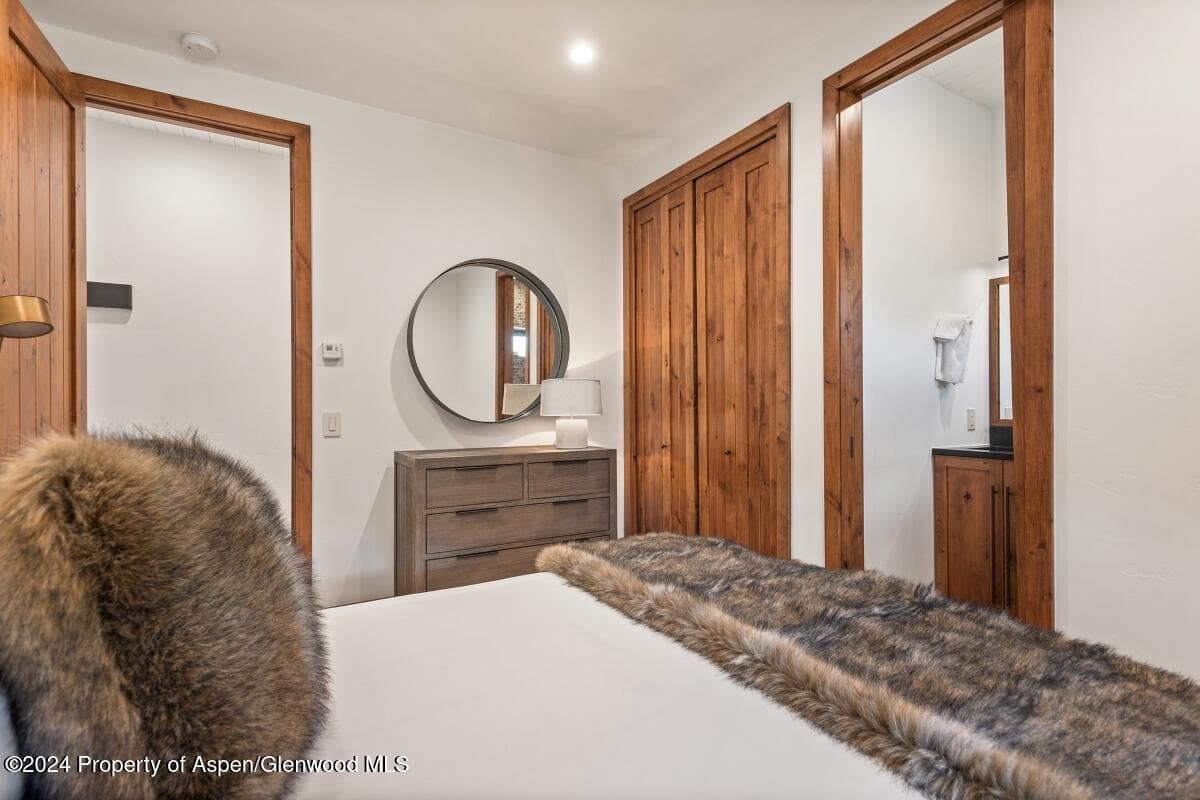 809 S Aspen Street #1, Aspen, CO 81611 - Photo 17
