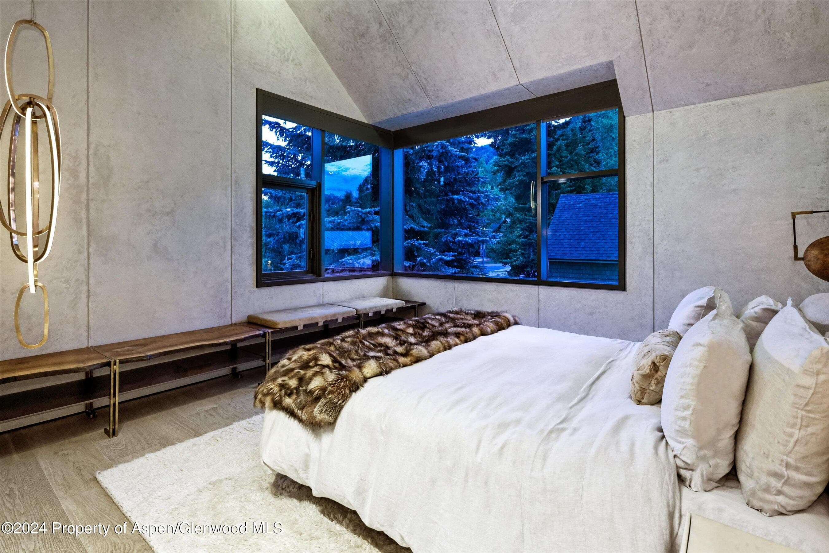 605 W Bleeker Street, Aspen, CO 81611 - Photo 13