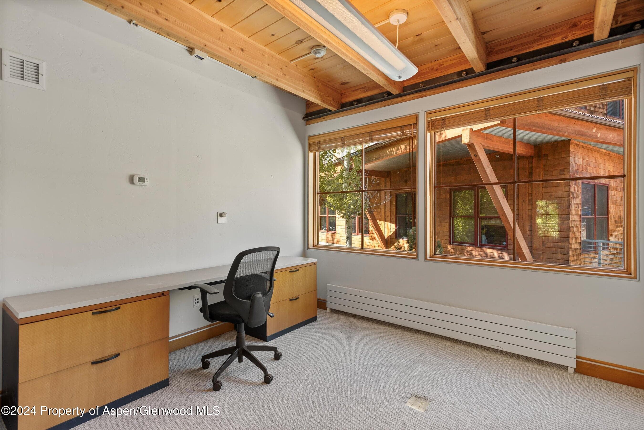 229 Midland Avenue D2, Basalt, CO 81621 - Photo 8