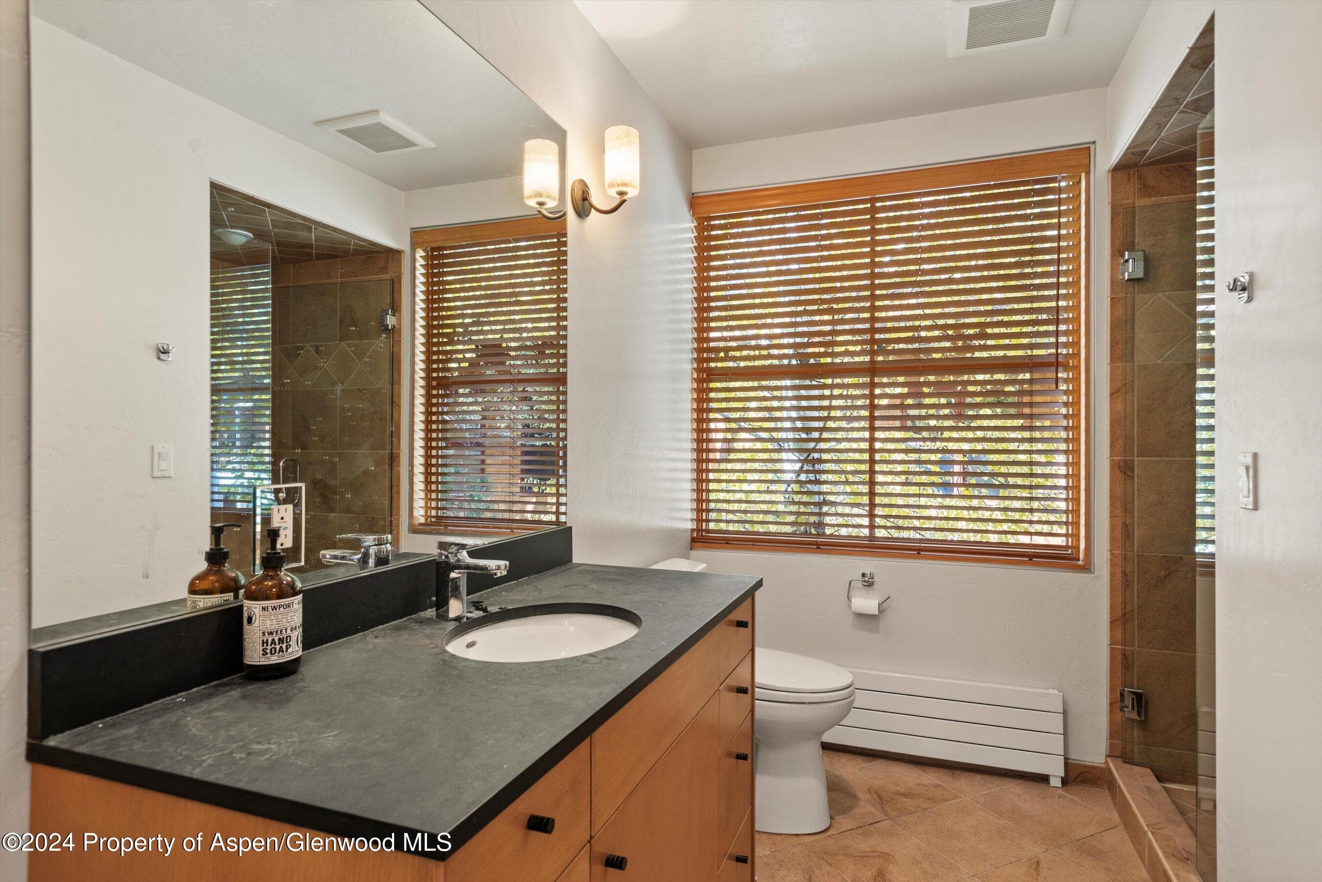 229 Midland Avenue D2, Basalt, CO 81621 - Photo 9