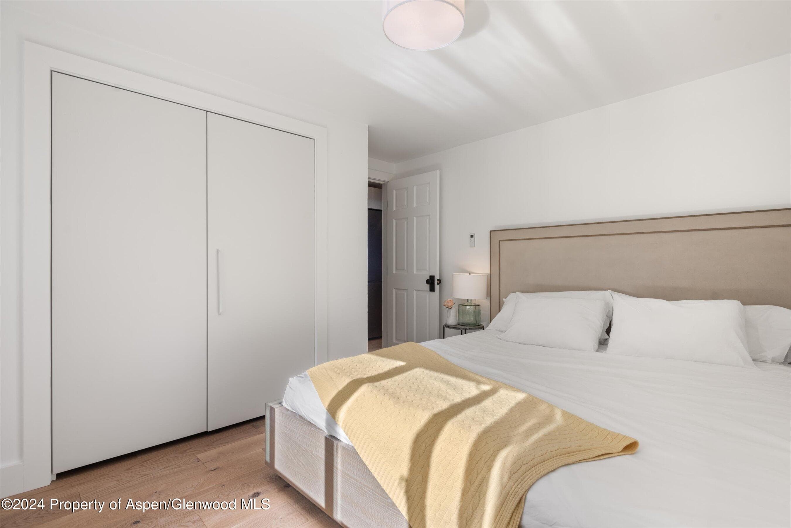 119 E Cooper Avenue 26, Aspen, CO 81611 - Photo 9