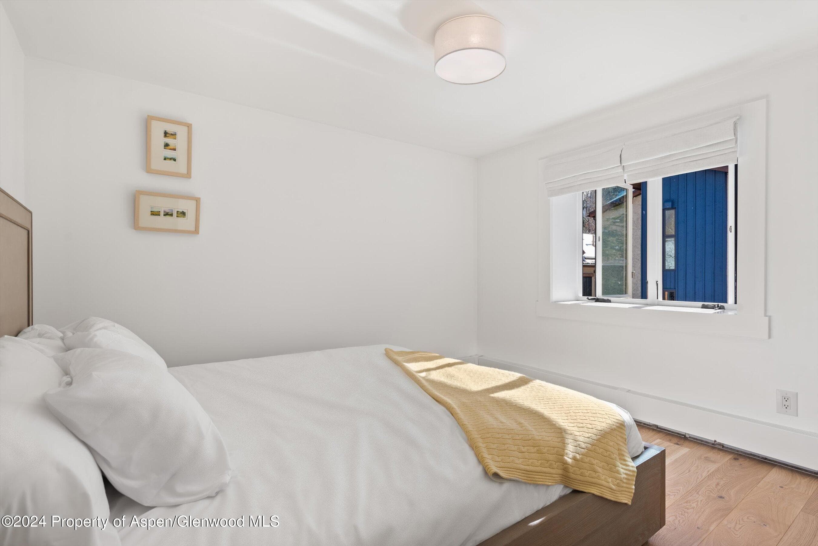 119 E Cooper Avenue 26, Aspen, CO 81611 - Photo 11