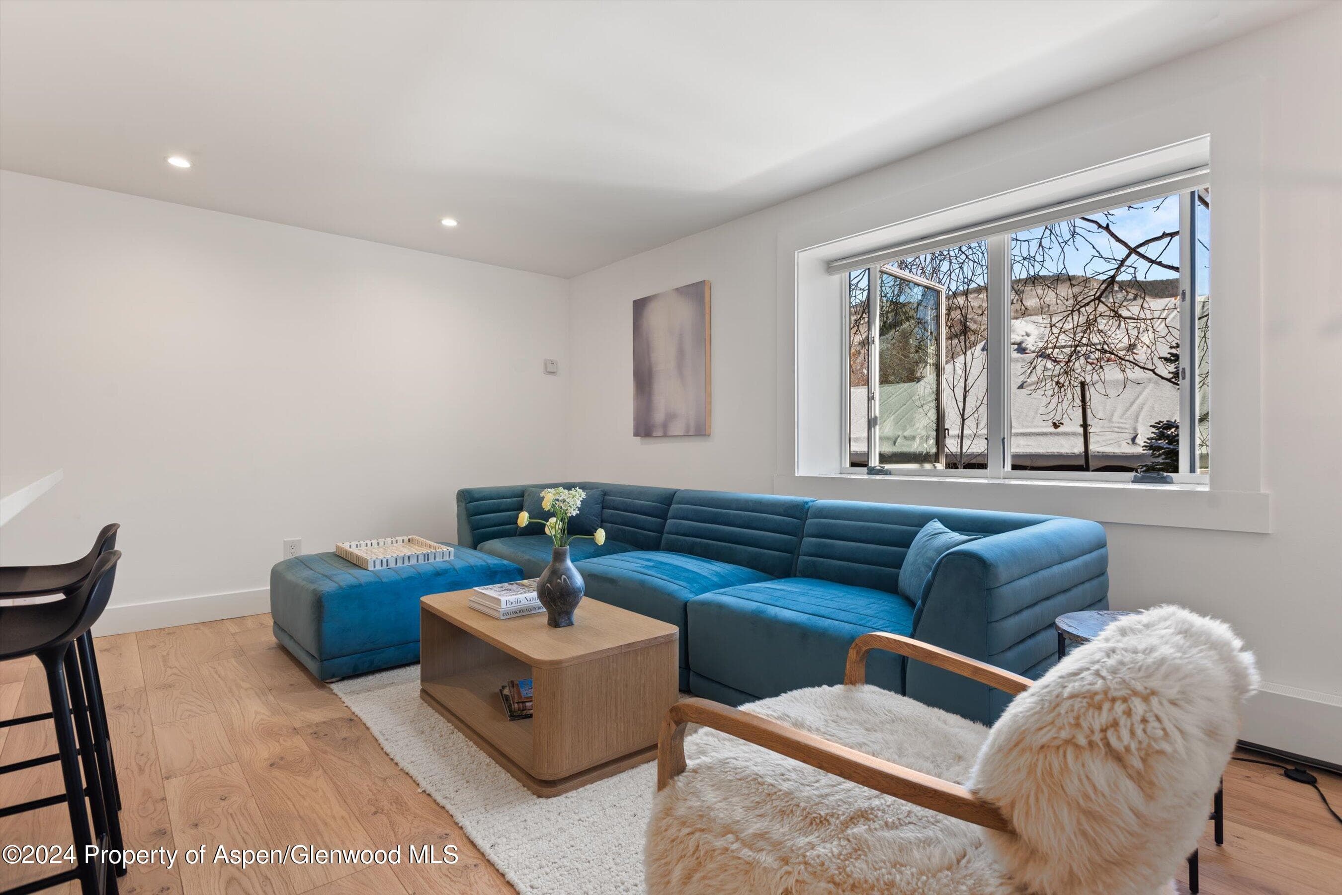 119 E Cooper Avenue 26, Aspen, CO 81611 - Photo 7