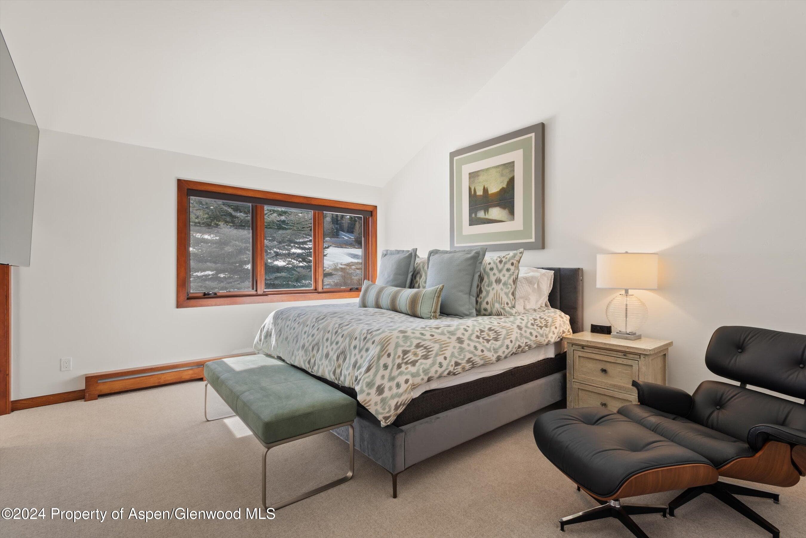 124 Harleston Green Road 45, Snowmass Village, CO 81615 - Photo 20