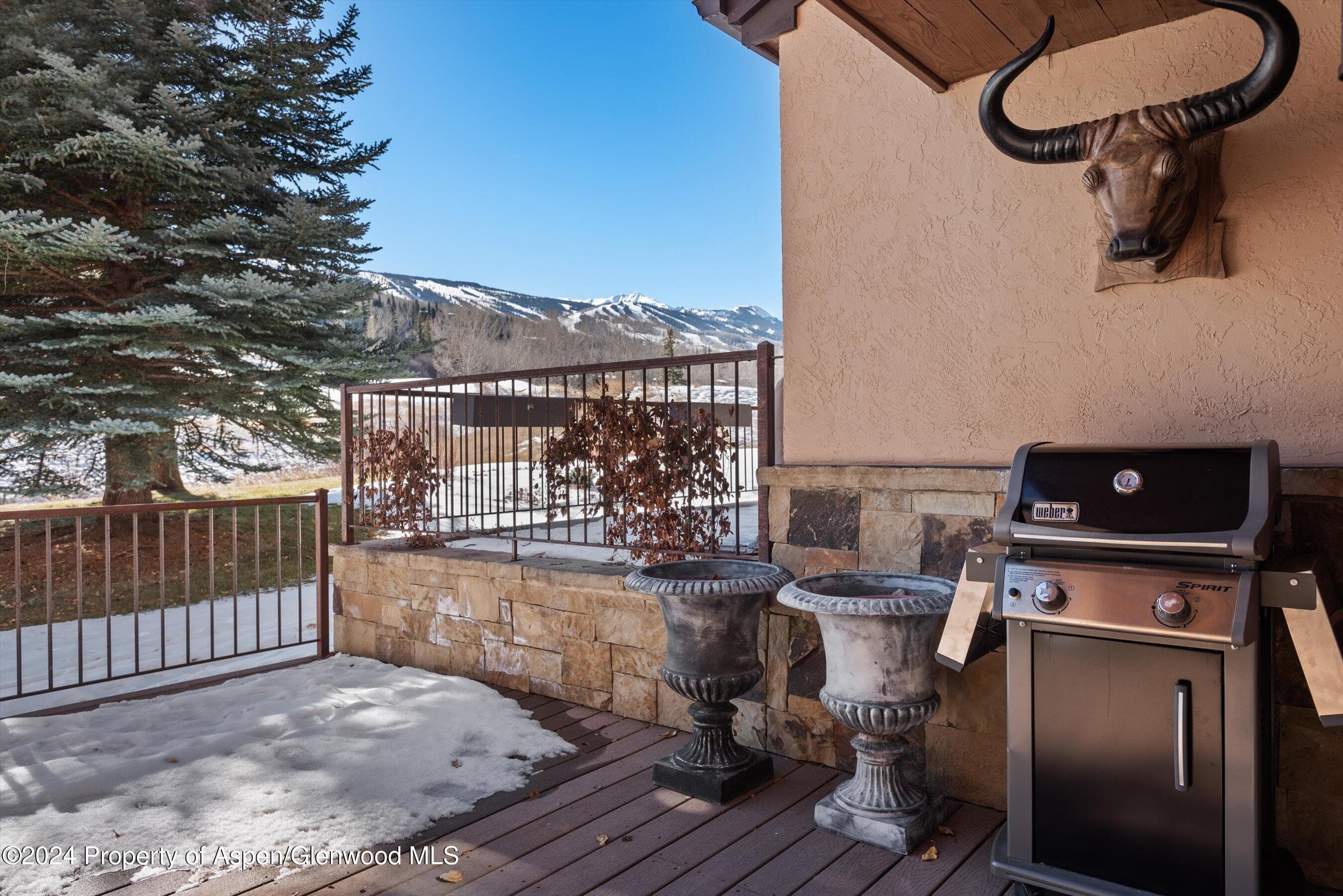 124 Harleston Green Road 45, Snowmass Village, CO 81615 - Photo 30
