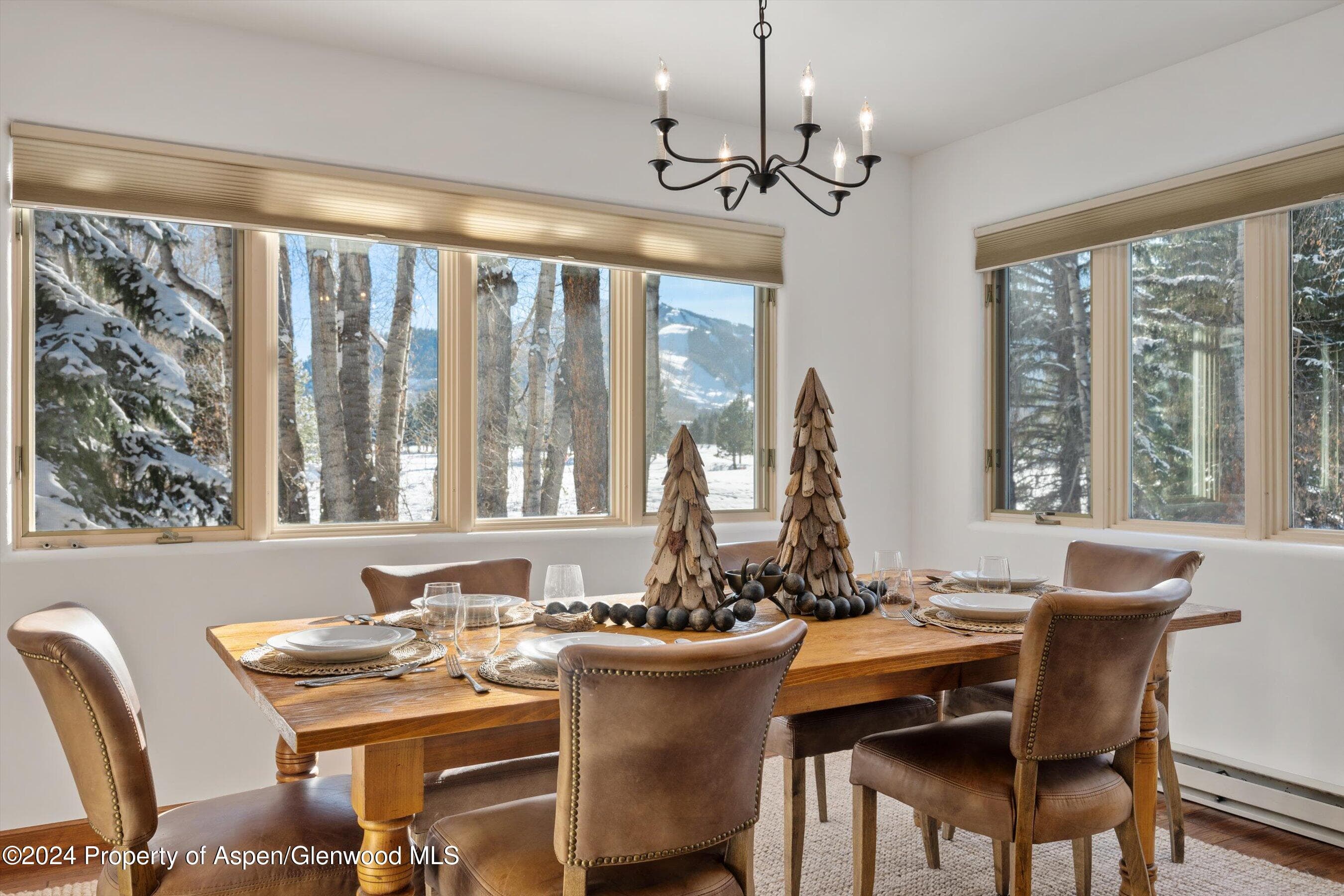 825 Cemetery Lane 2, Aspen, CO 81611 - Photo 7