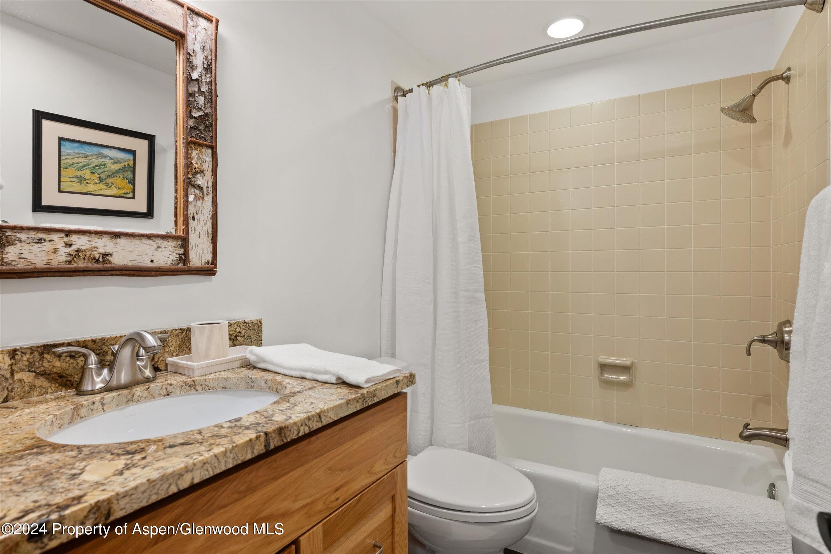 825 Cemetery Lane 2, Aspen, CO 81611 - Photo 28